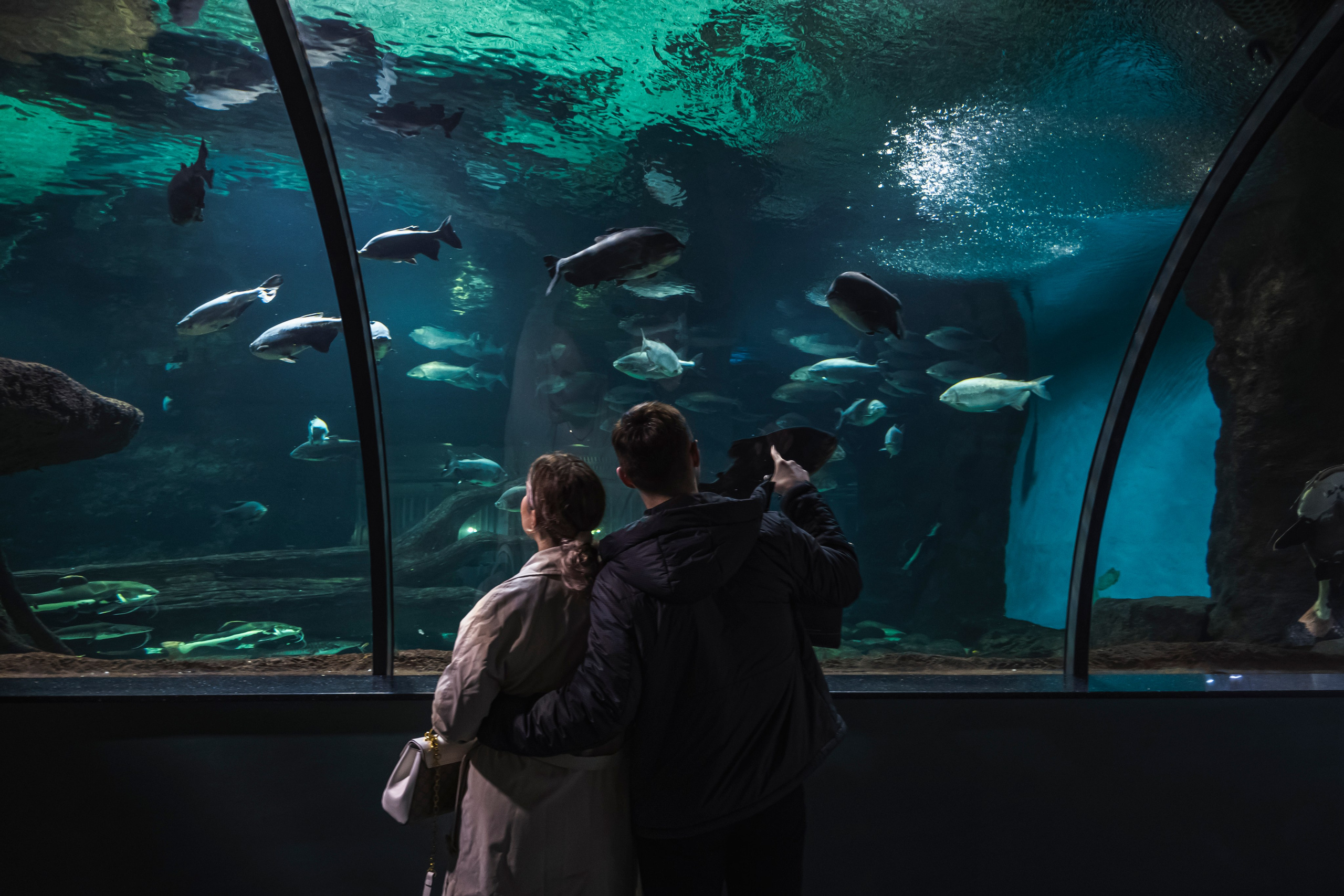 Москвариум. Фотограф Роман Адлер
