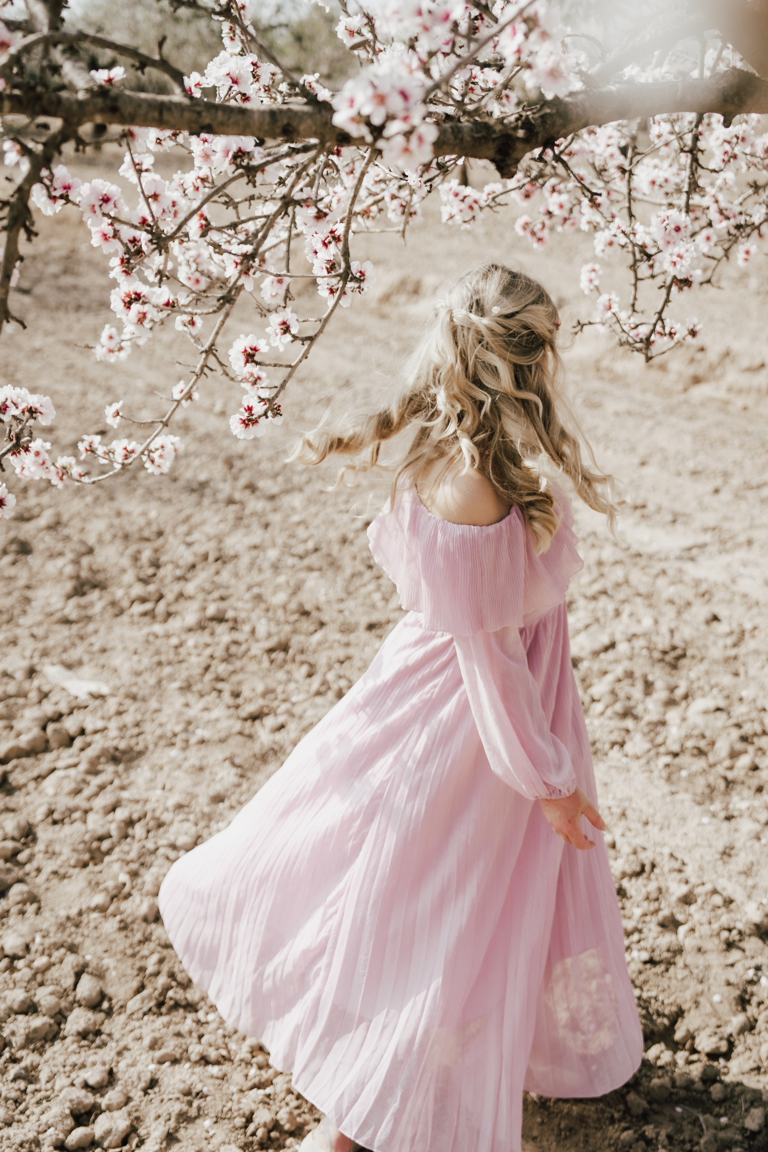 цветущий сад миндаля в Аликанте