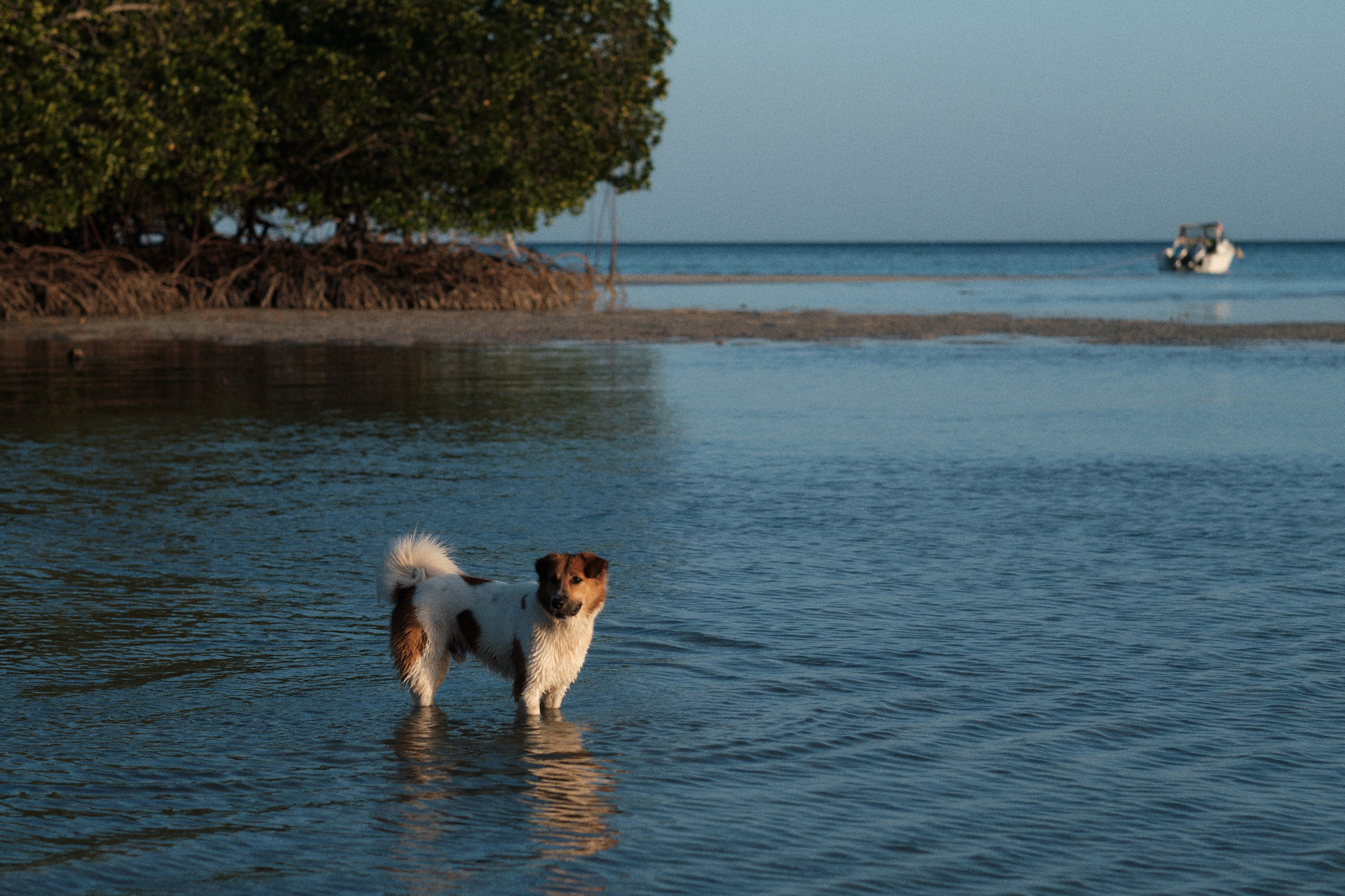 Главная. Юрий Березнюк. Фотограф в Новороссийске. Фотожурналистика