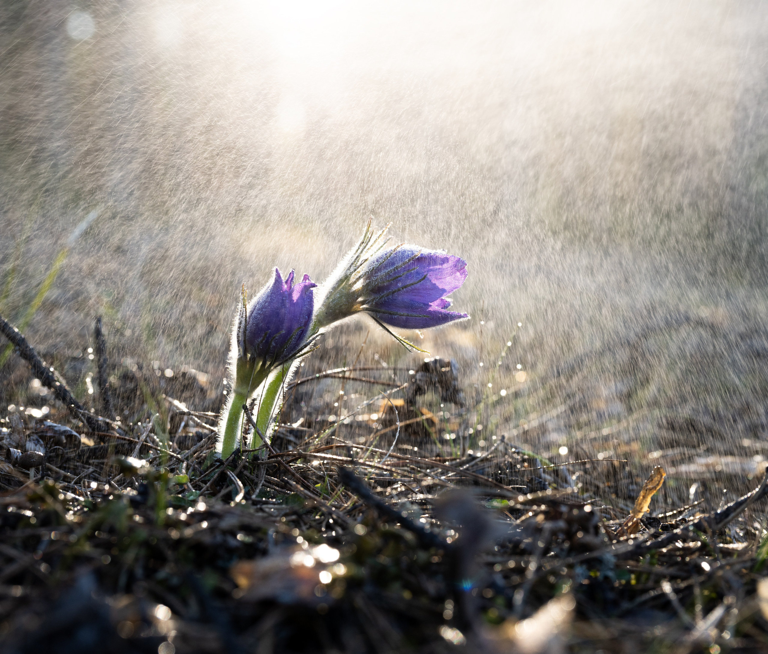Гид фотограф Карепанов Евгений