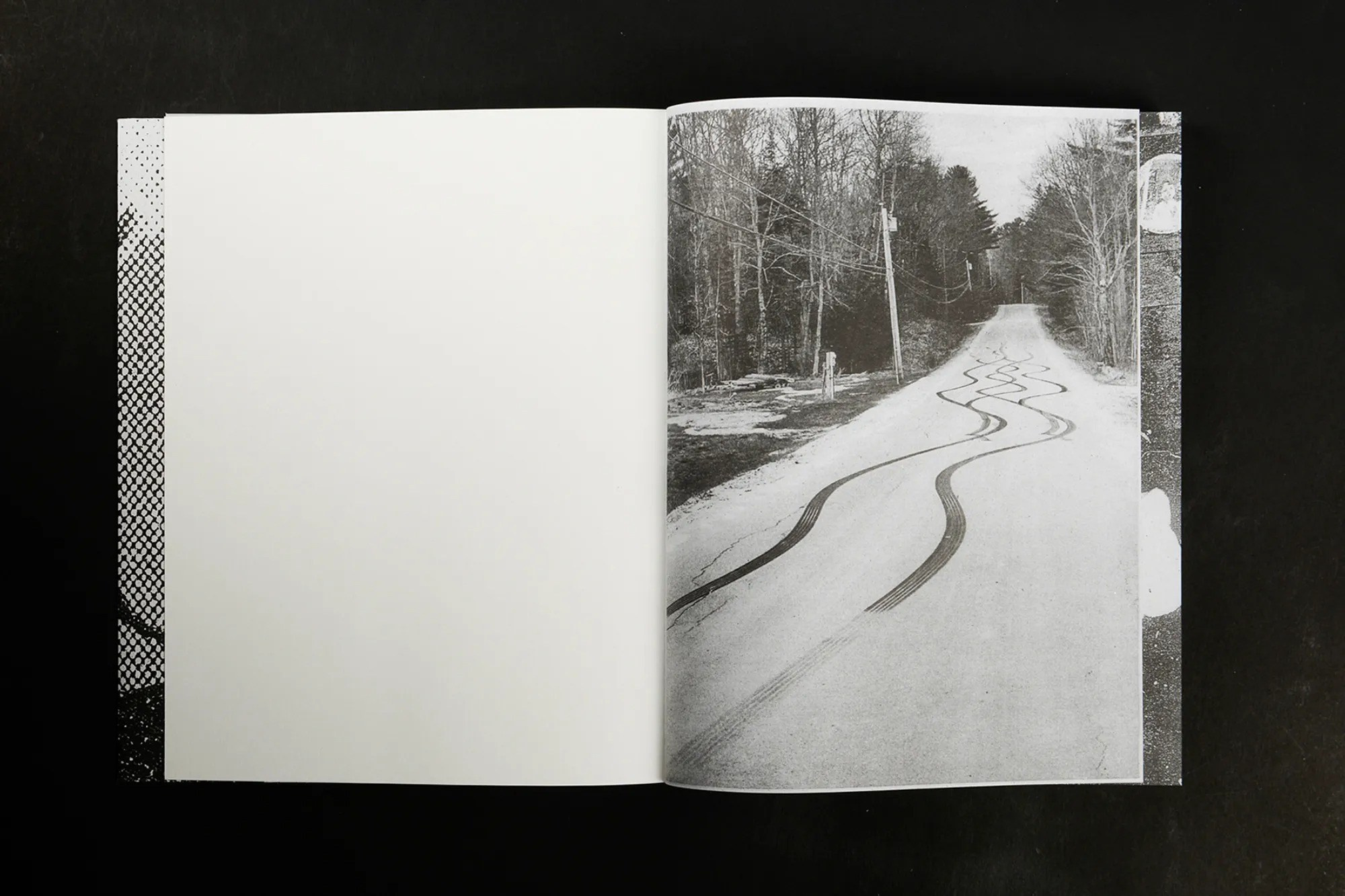 ПОПУЛЯРНЫЕ ОШИБКИ ПРИ СОЗДАНИИ ФОТОКНИГИ: Часть вторая — про содержание и нарратив. Самоорганизация Низина