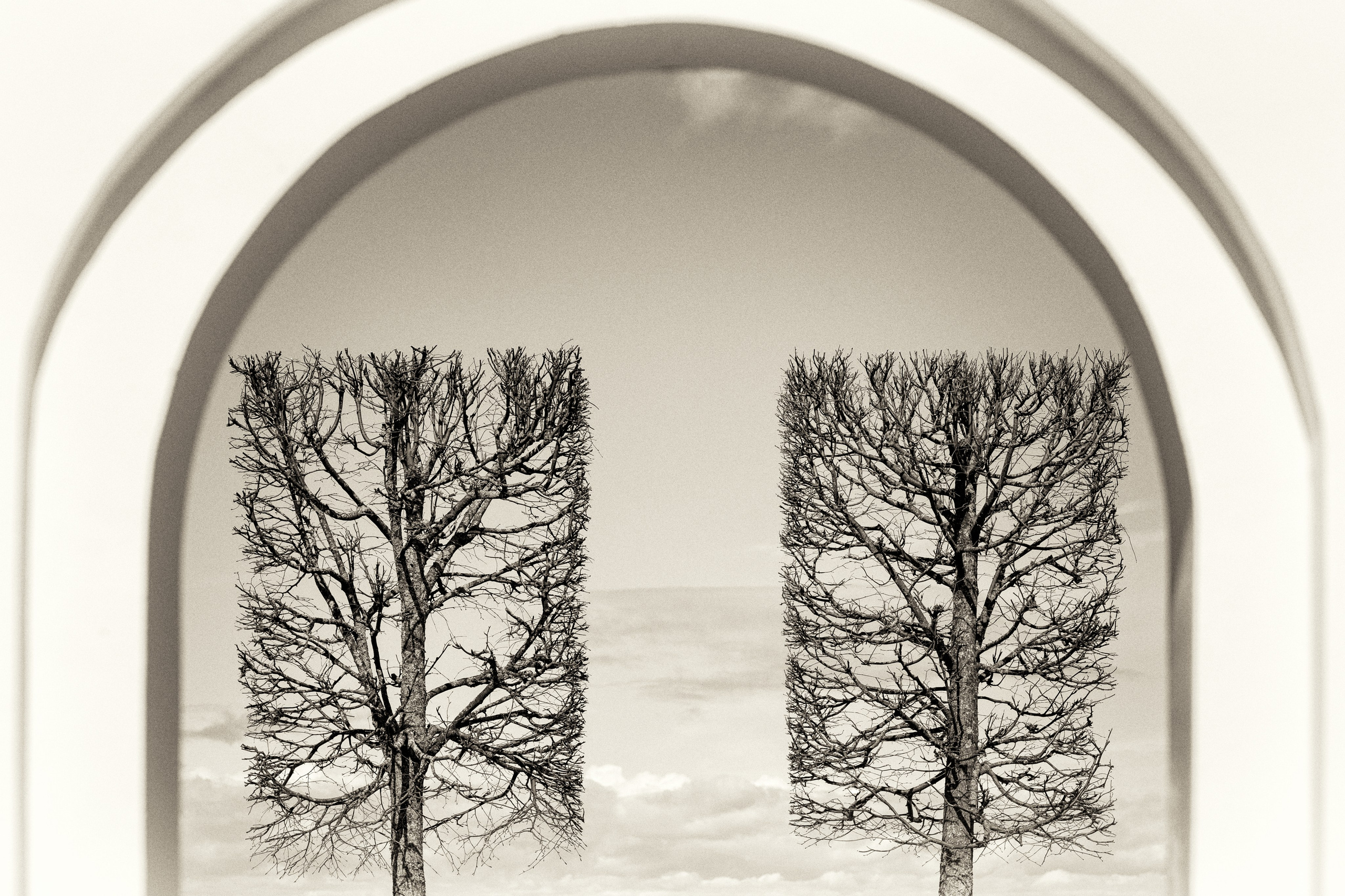 Интерьерная фотография. Фотограф Ольга Дунаева