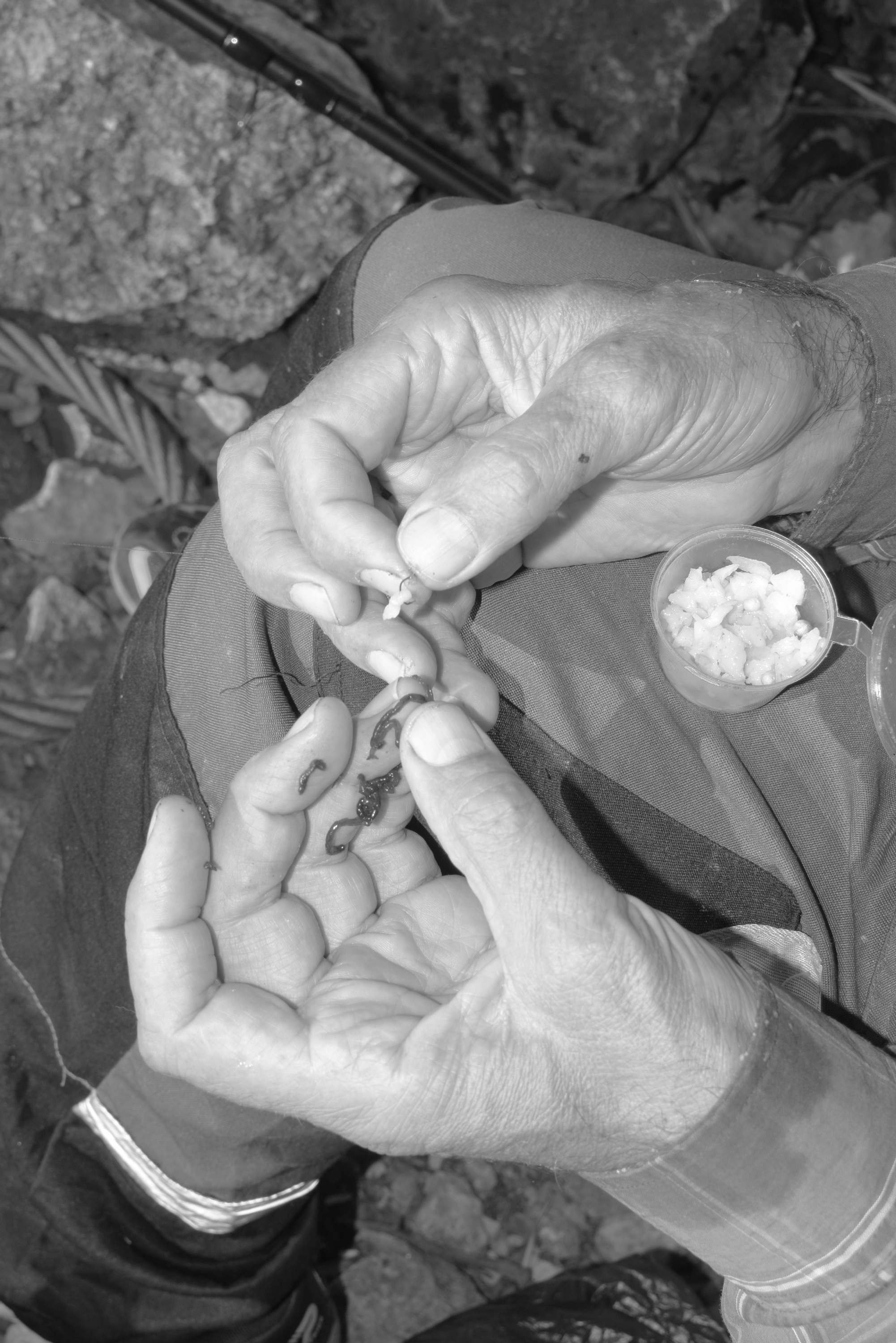 About fish. Maria Pilkevich