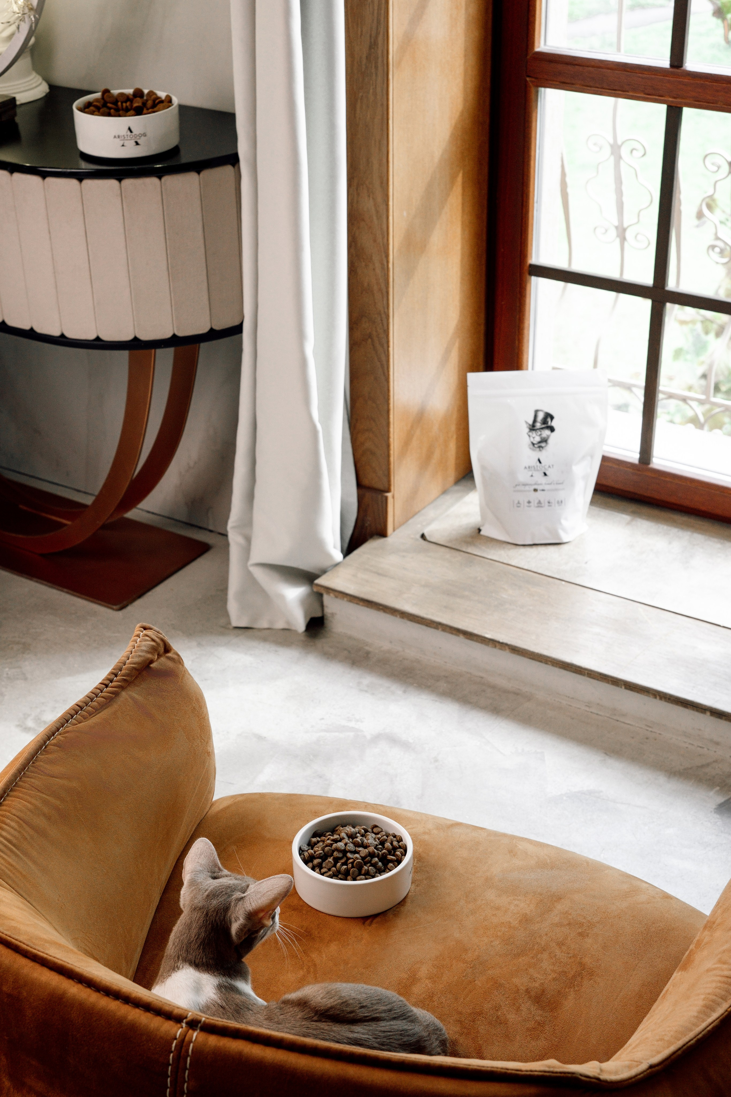 ARISTODOG. Фотограф и видеограф Анна Жагорина