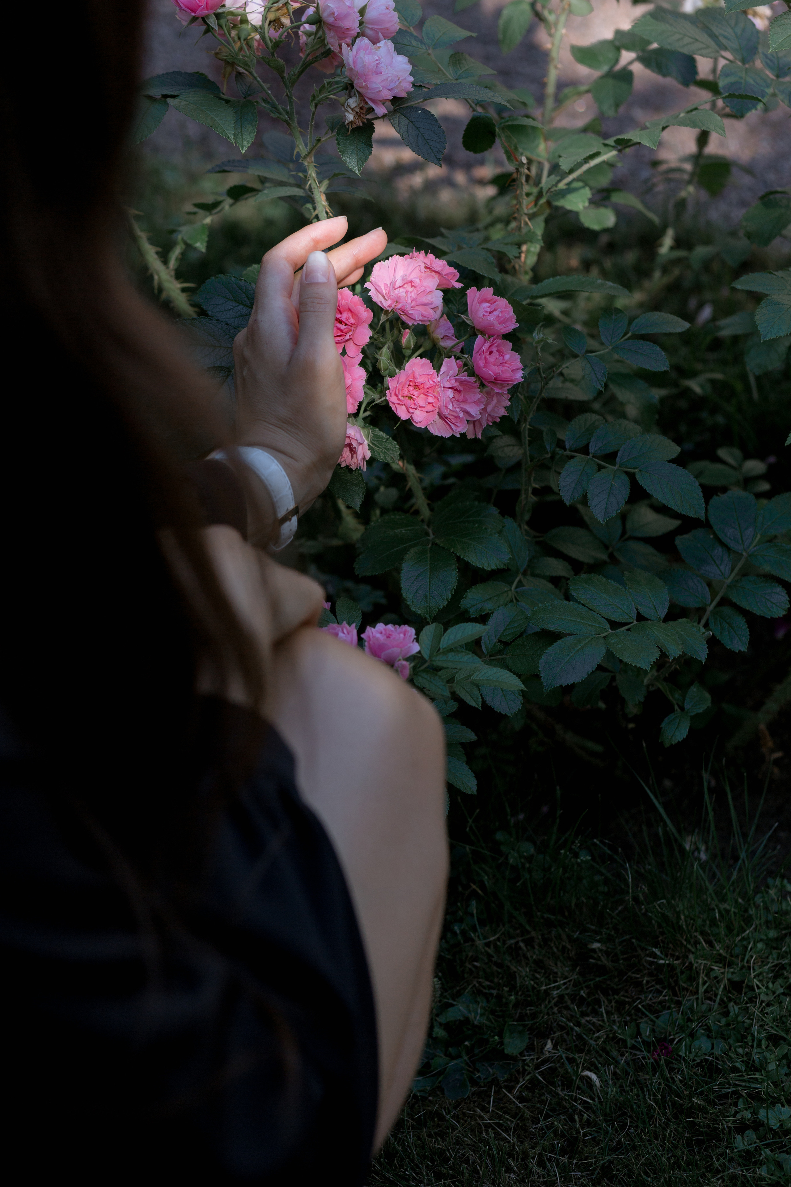 Кинолента поцелуев. Александр и Александра. Свадебный фотограф в Санкт — Петербурге и Ленинградской о