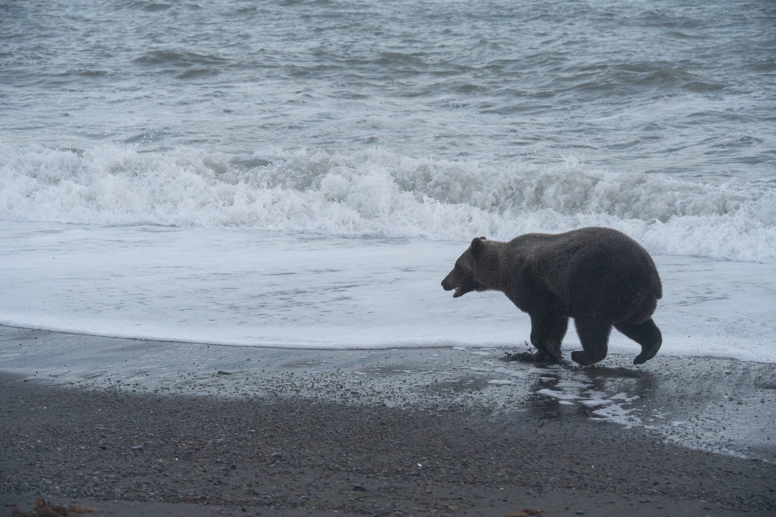 Проекты. Gusarov Travel Photography