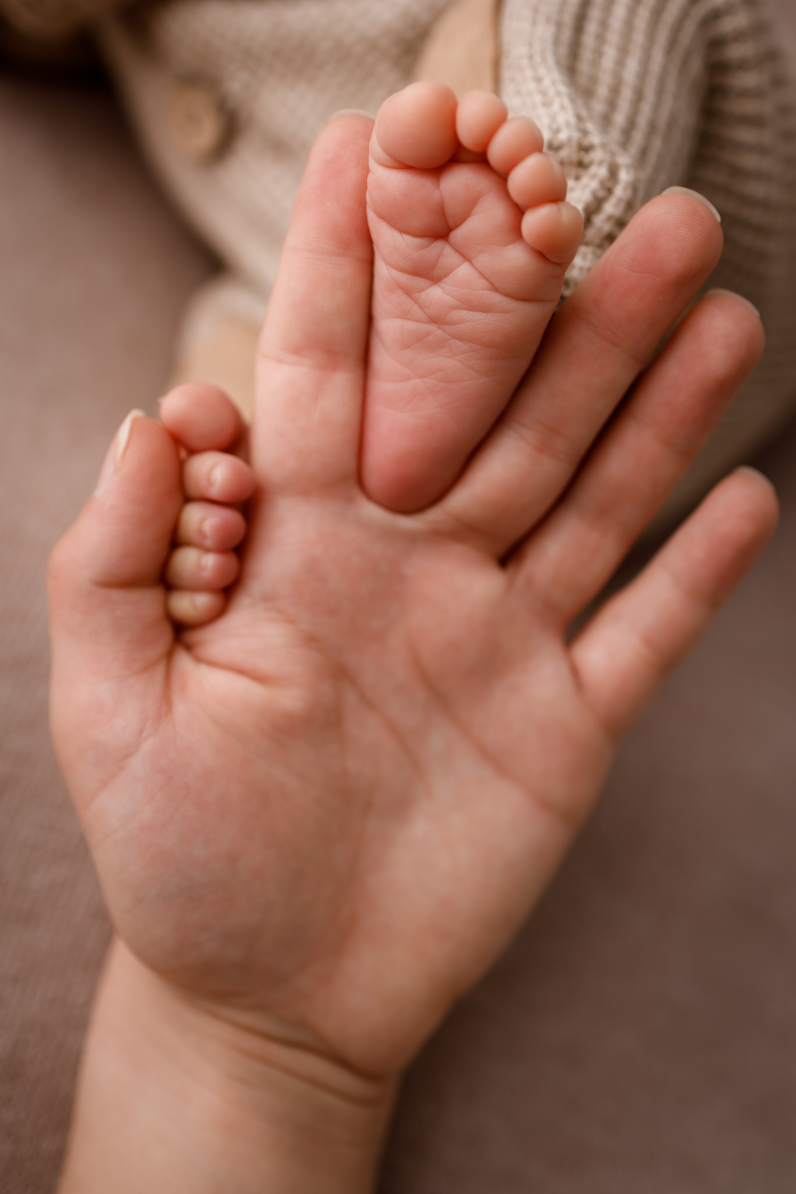 Ньюборн. Яна Кром Фотограф ньюборн в Москве