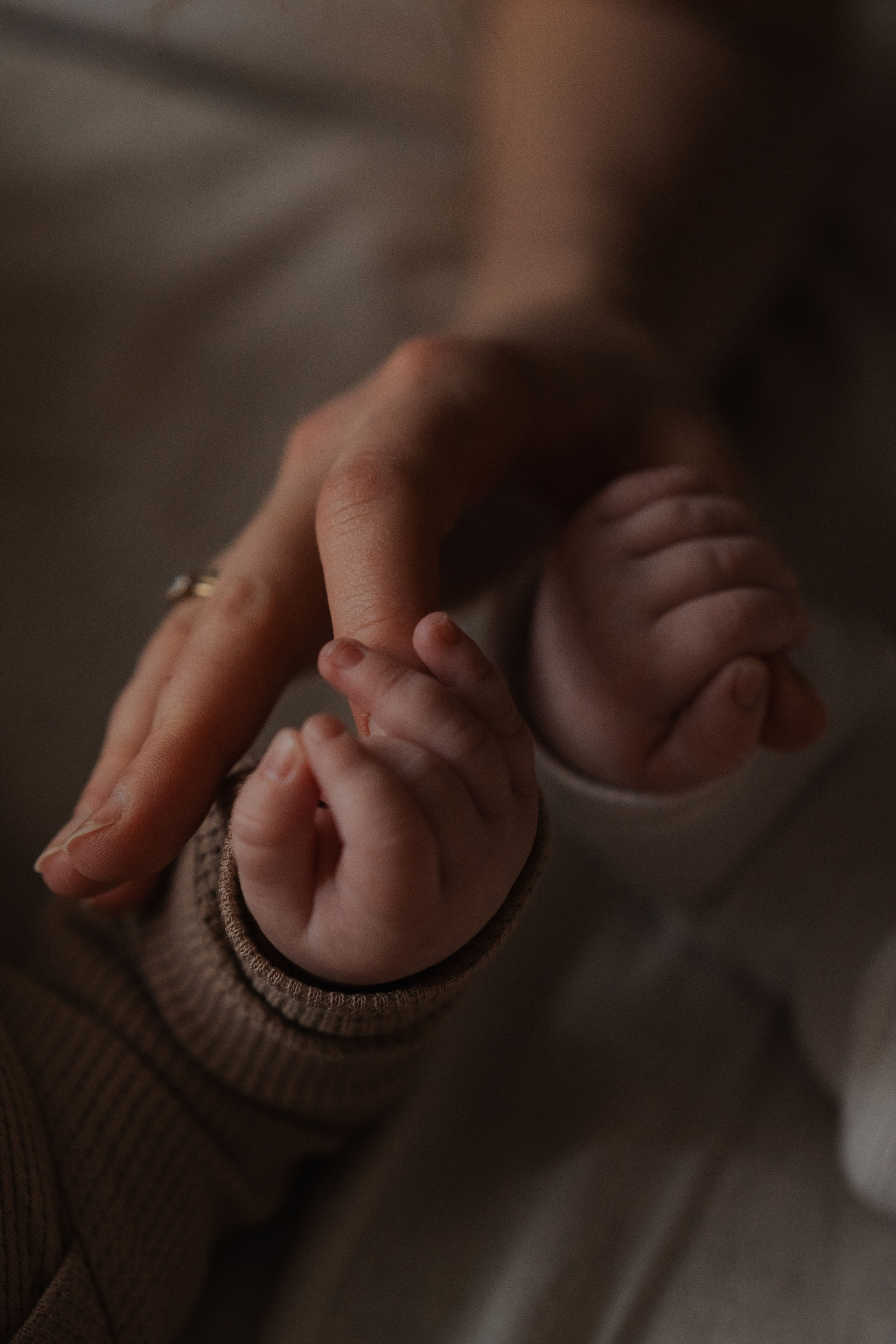 Услуги. Семейный фотограф в Москве Анастасия Скоголева