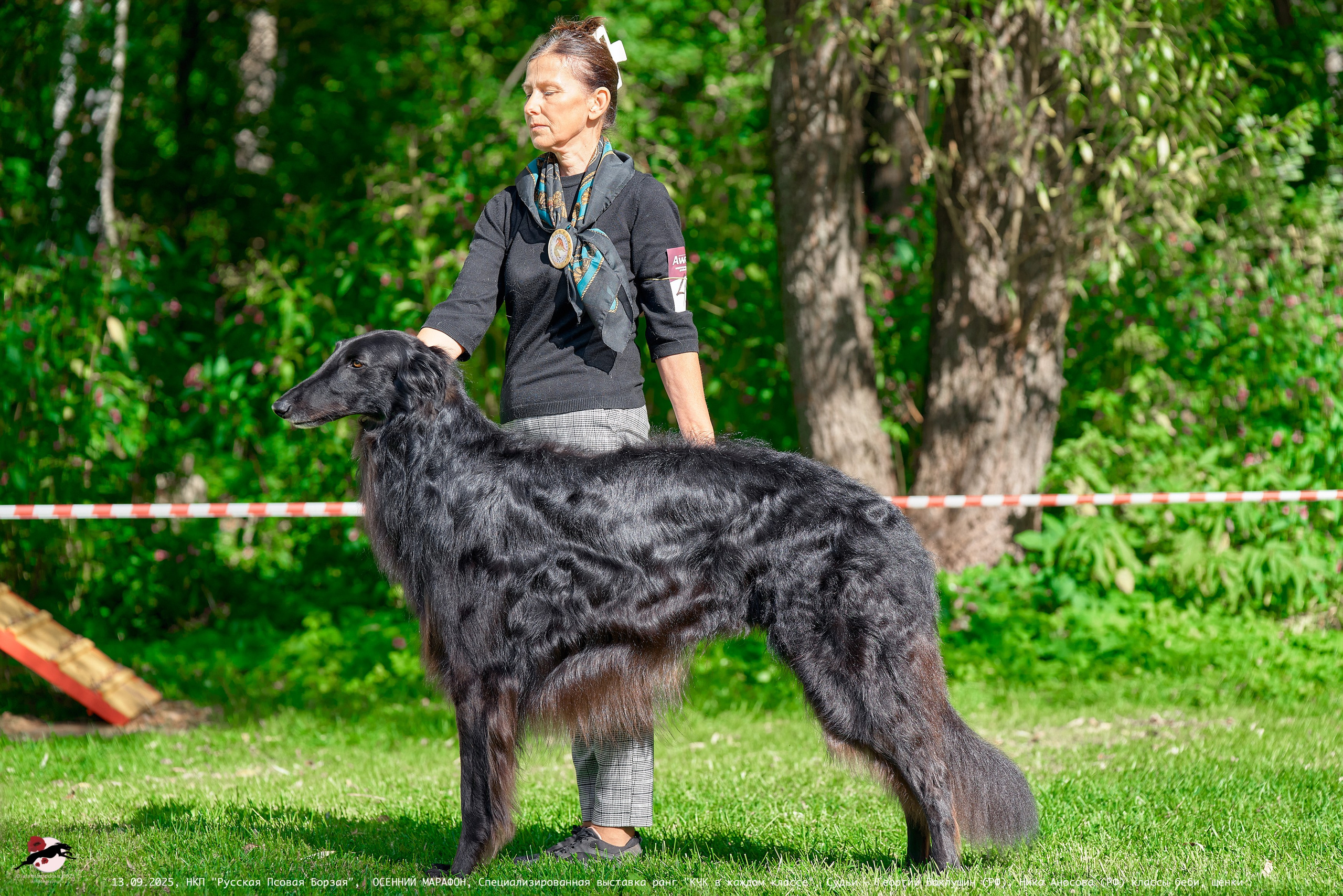 ОСЕННИЙ МАРАФОН | Специализированная выставка породы Русская Псовая Борзая ранг "КЧК в каждом классе"