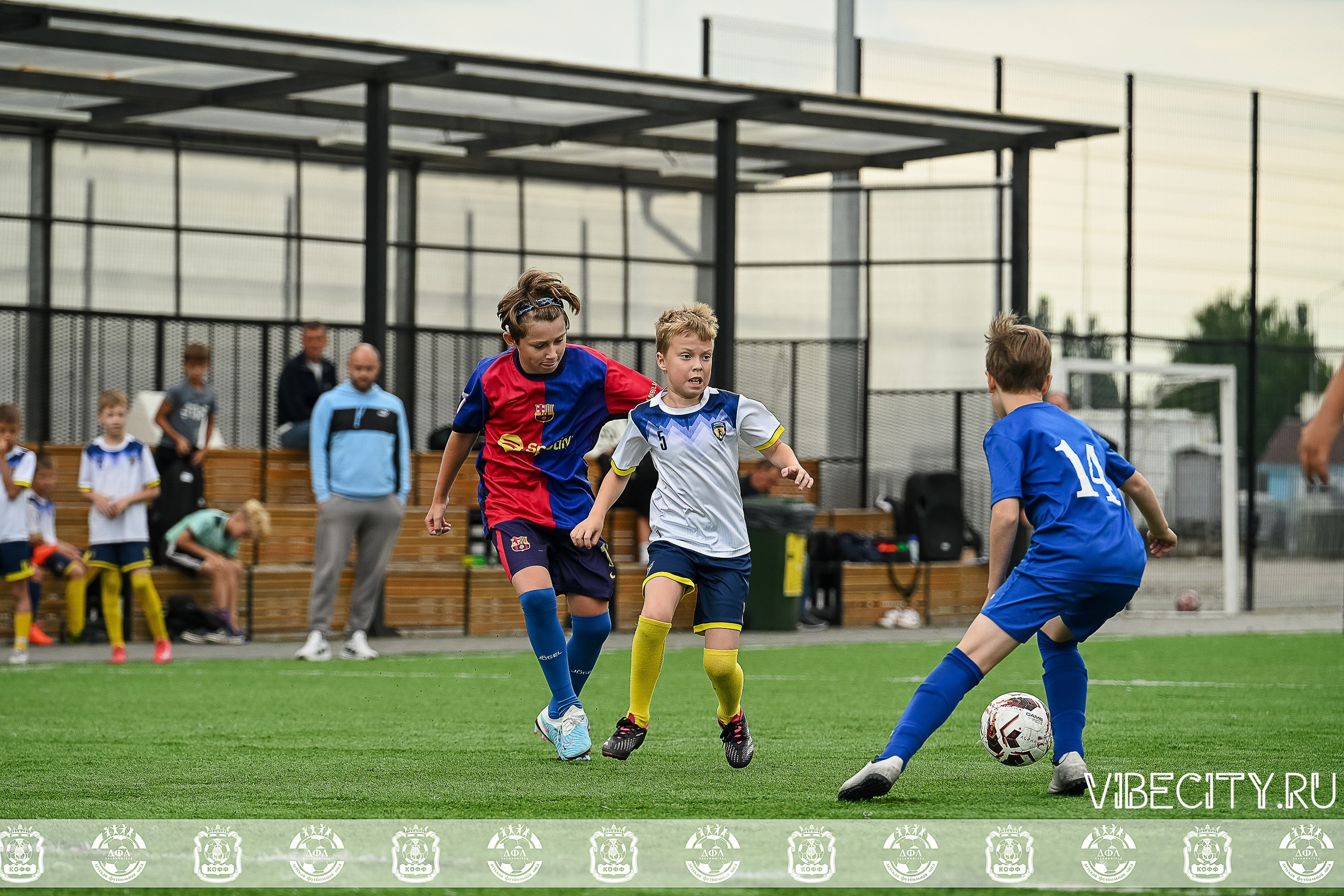 Калининградская Детская Футбольная Лига. VIBECITY.RU Вайб Сити Ру Фоторепортажи Фотоотчеты Калининград