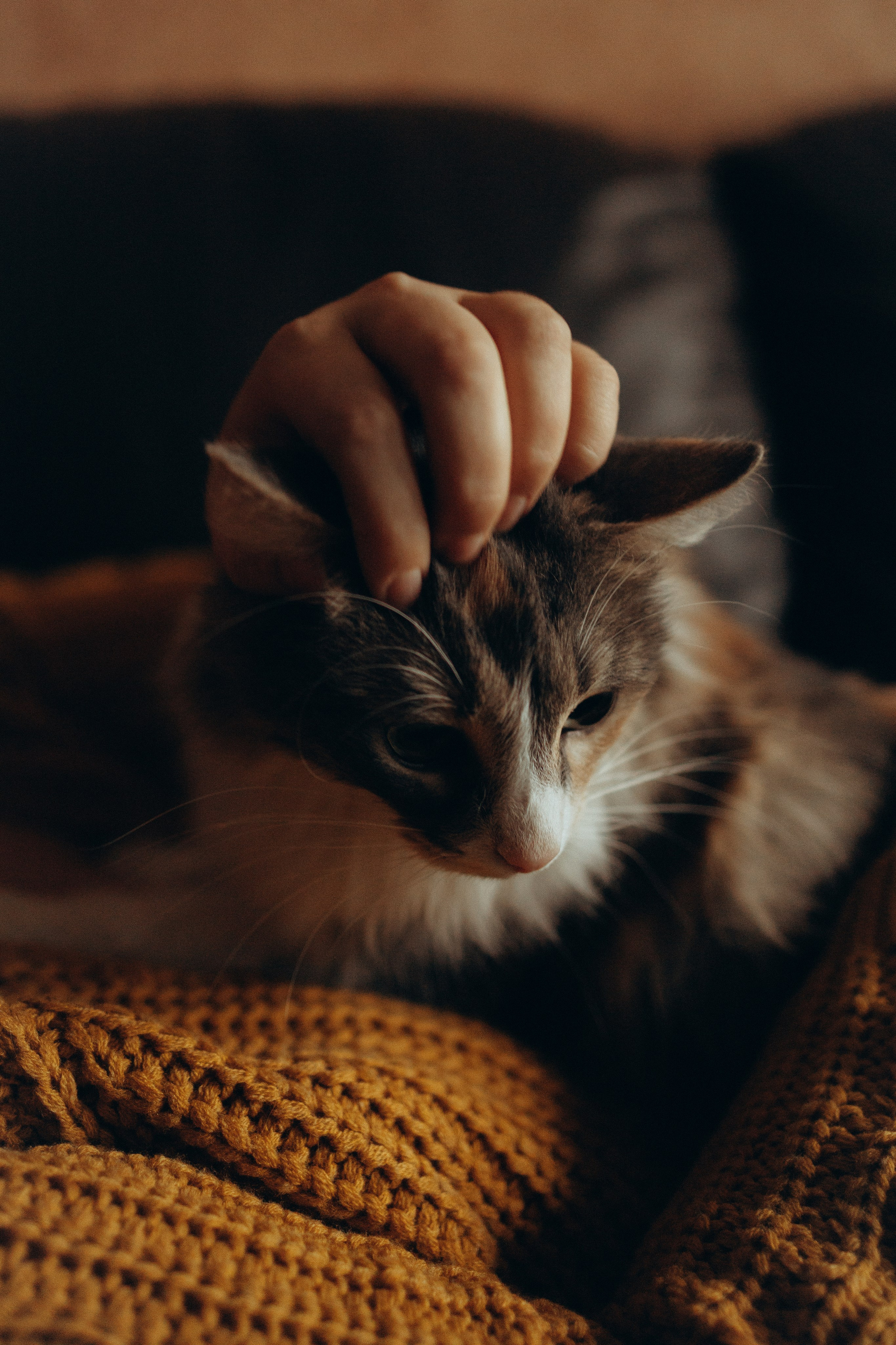 Даша. Фотограф Москва Алёна Суворова