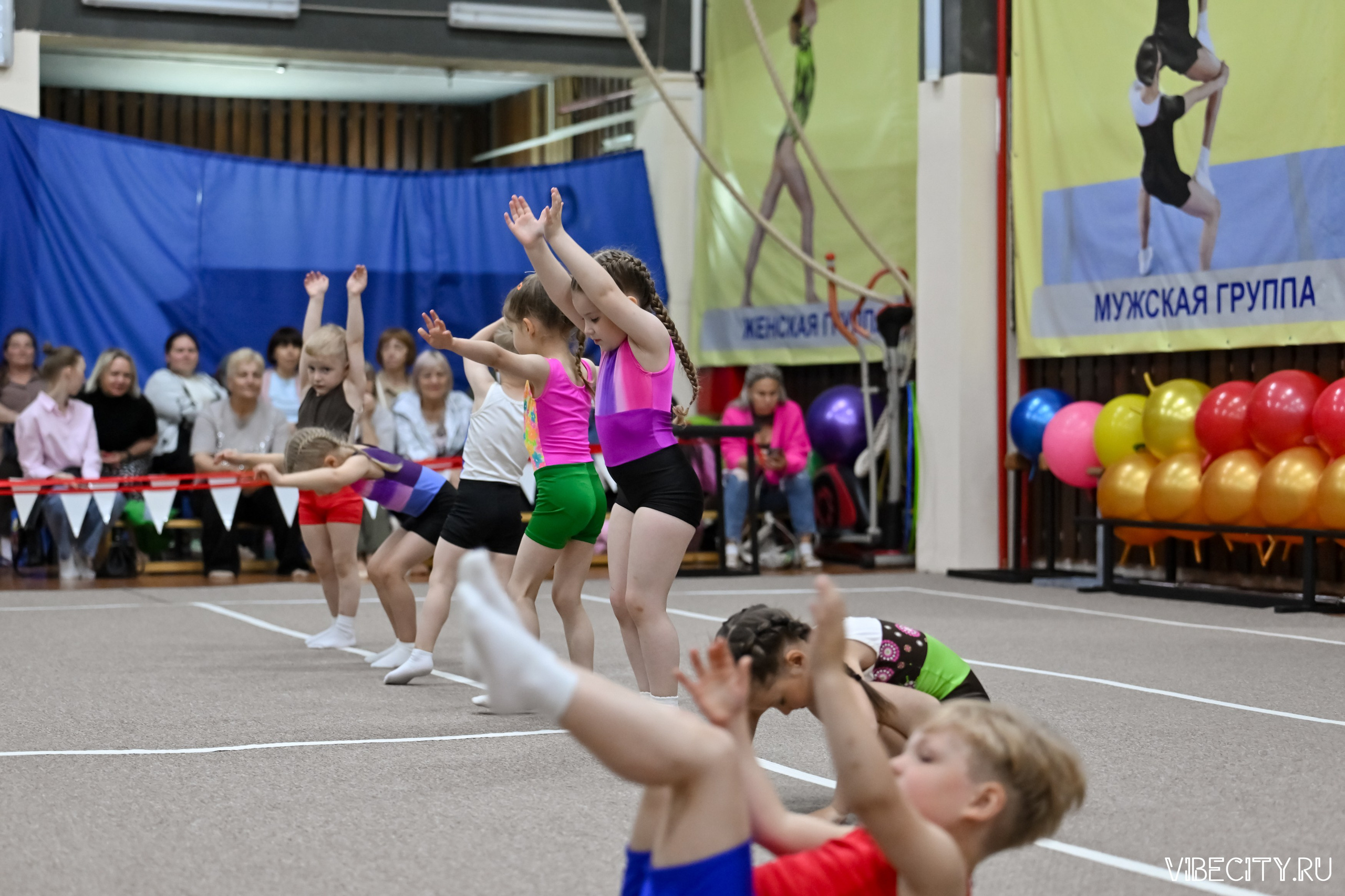 Контрольная тренировка по спортивной гимнастике. VIBECITY.RU Вайб Сити Ру Фоторепортажи Фотоотчеты Калининград