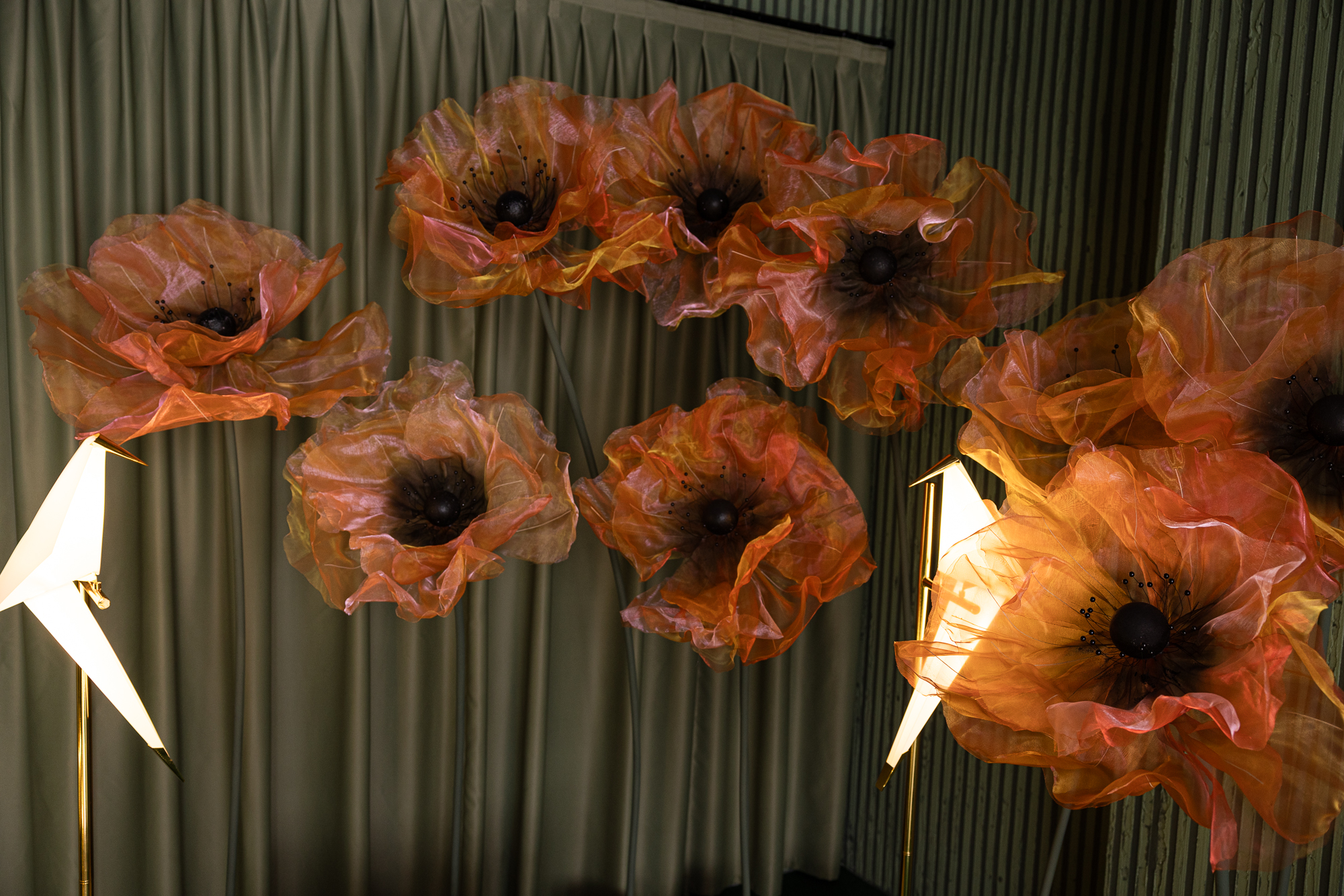 Photohub прочие залы. Фотограф в Минске Людмила Дутко