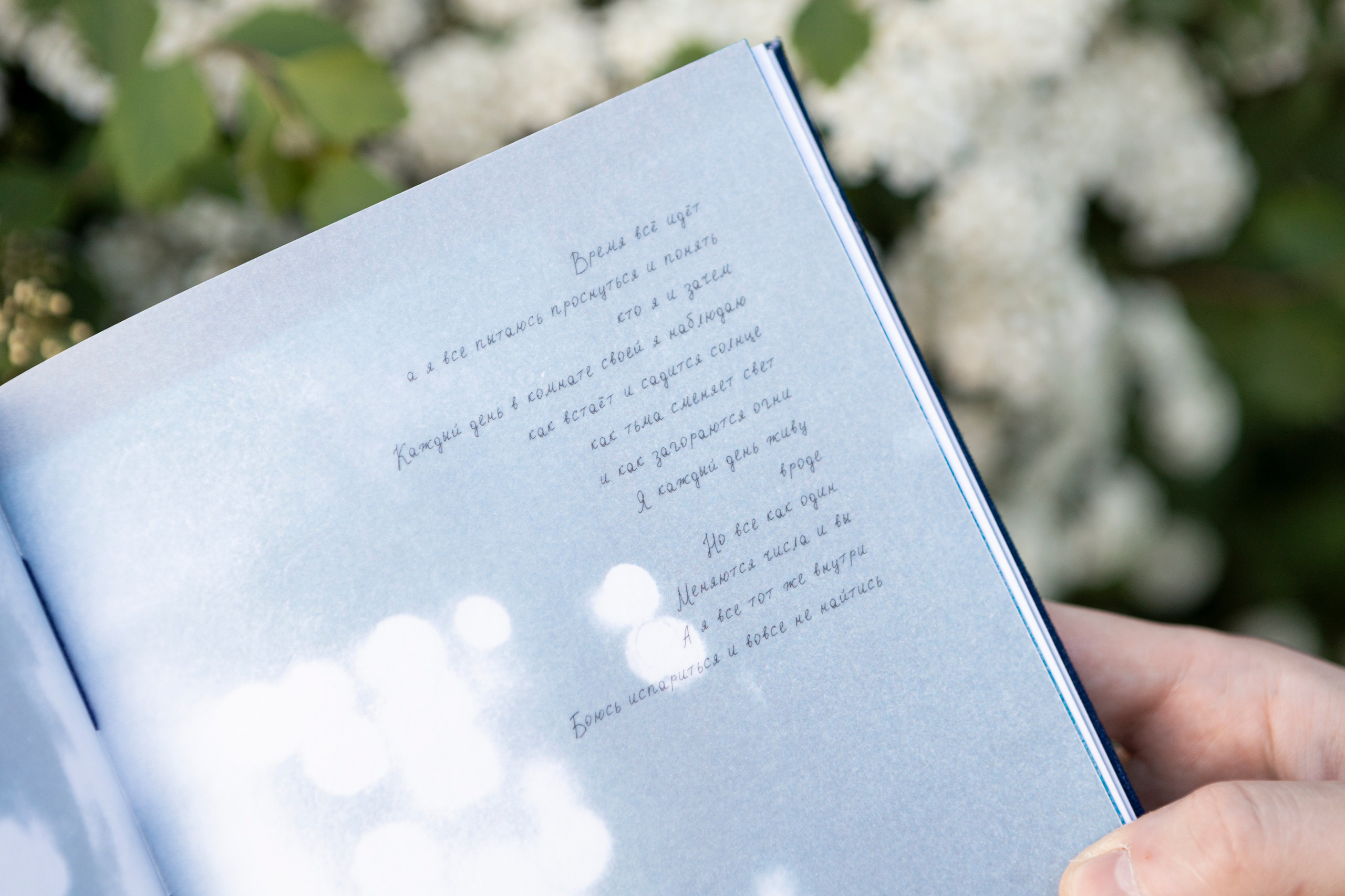 Фотозин «Светлячки в темноте»