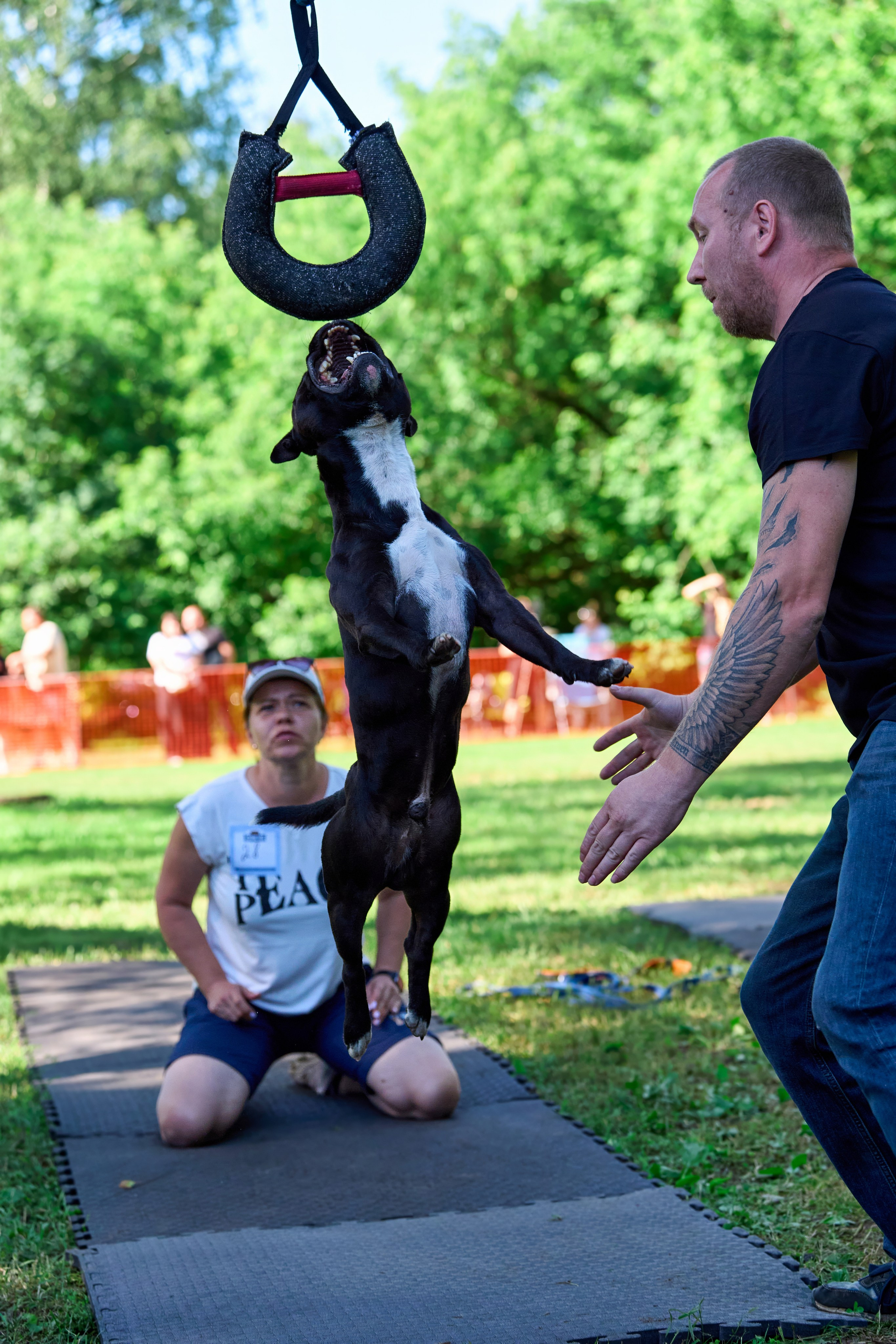 Двухдневные соревнования «Jump'n'Gym Fest — 2024». Фотограф-анималист Михаил Манухин