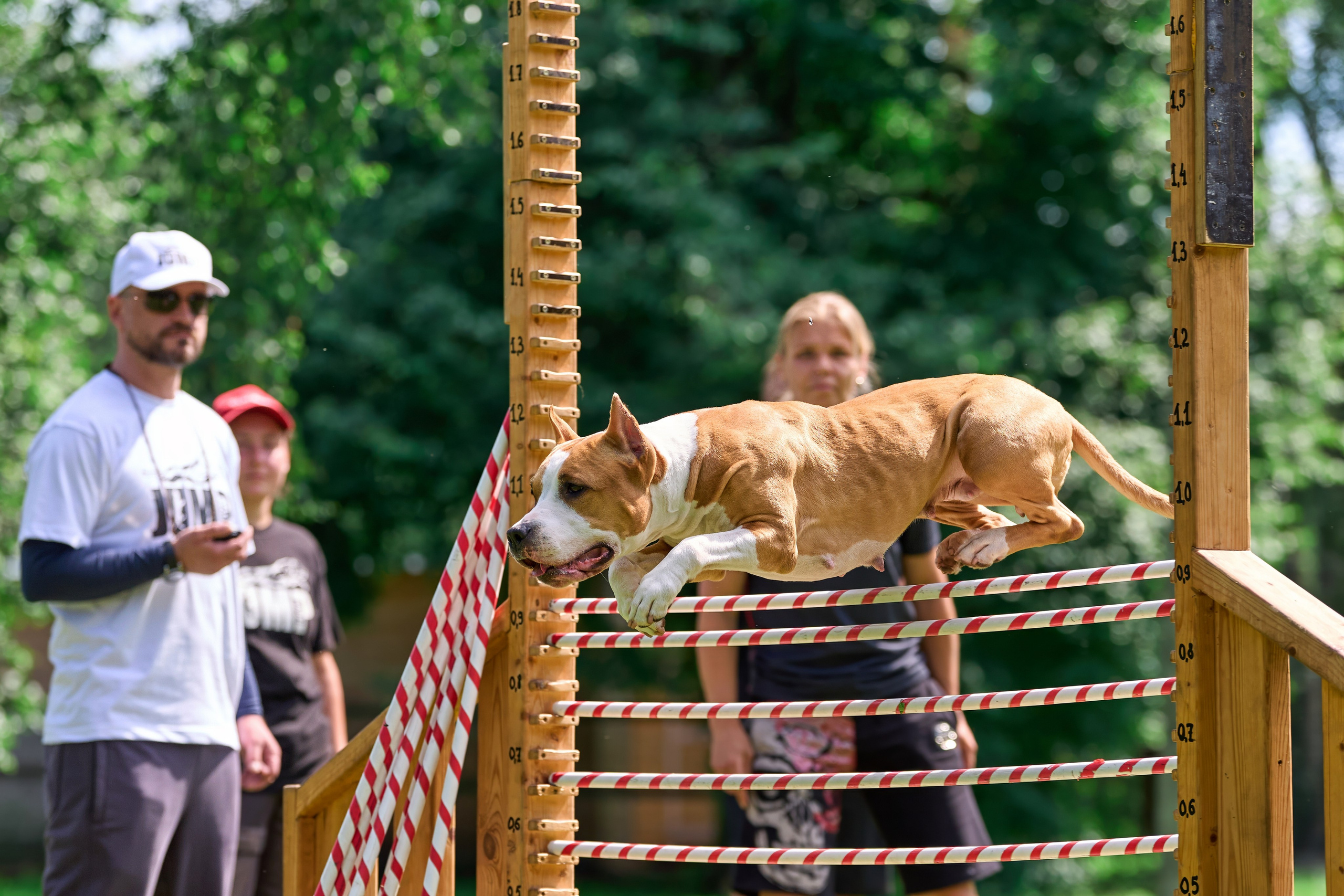Двухдневные соревнования «Jump'n'Gym Fest — 2024». Фотограф-анималист Михаил Манухин