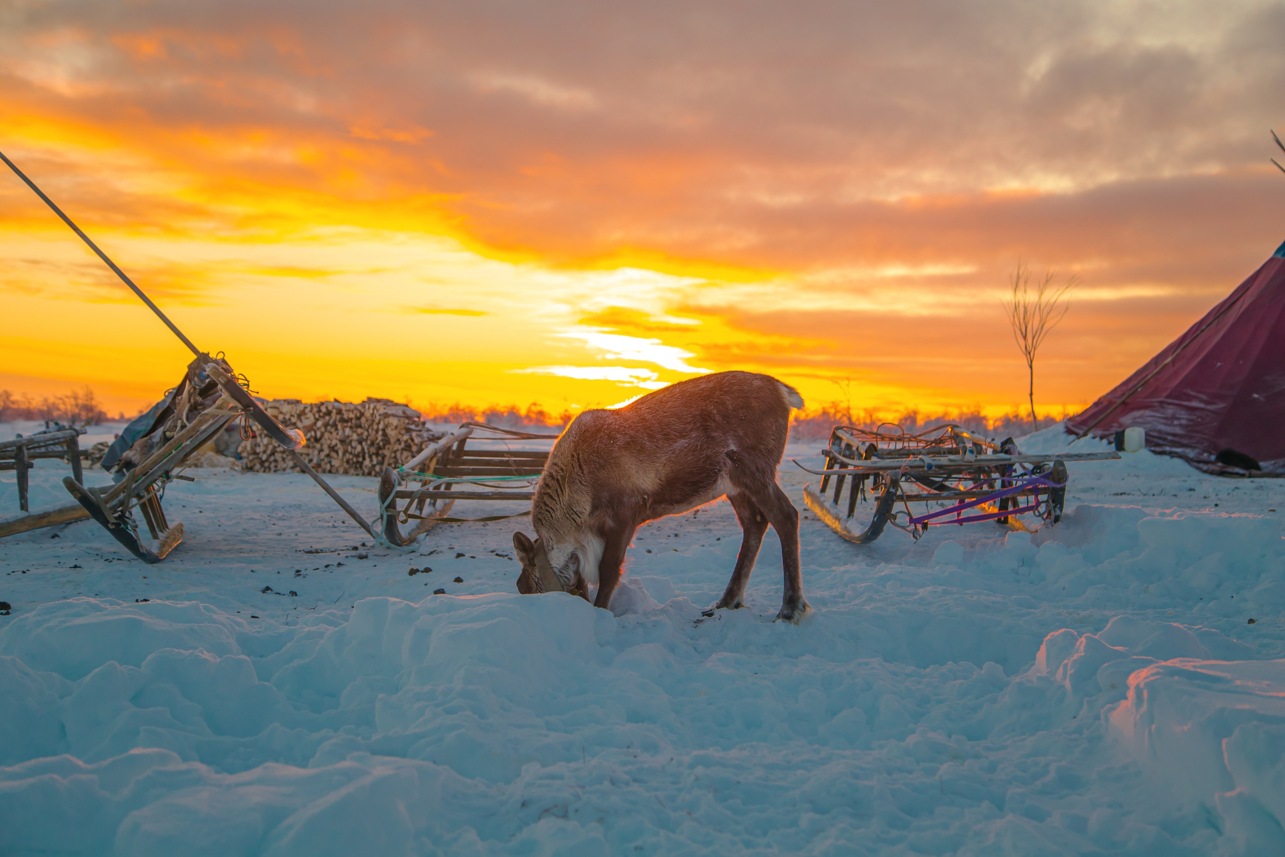 Тревел-фотограф Елизавета Ларионова