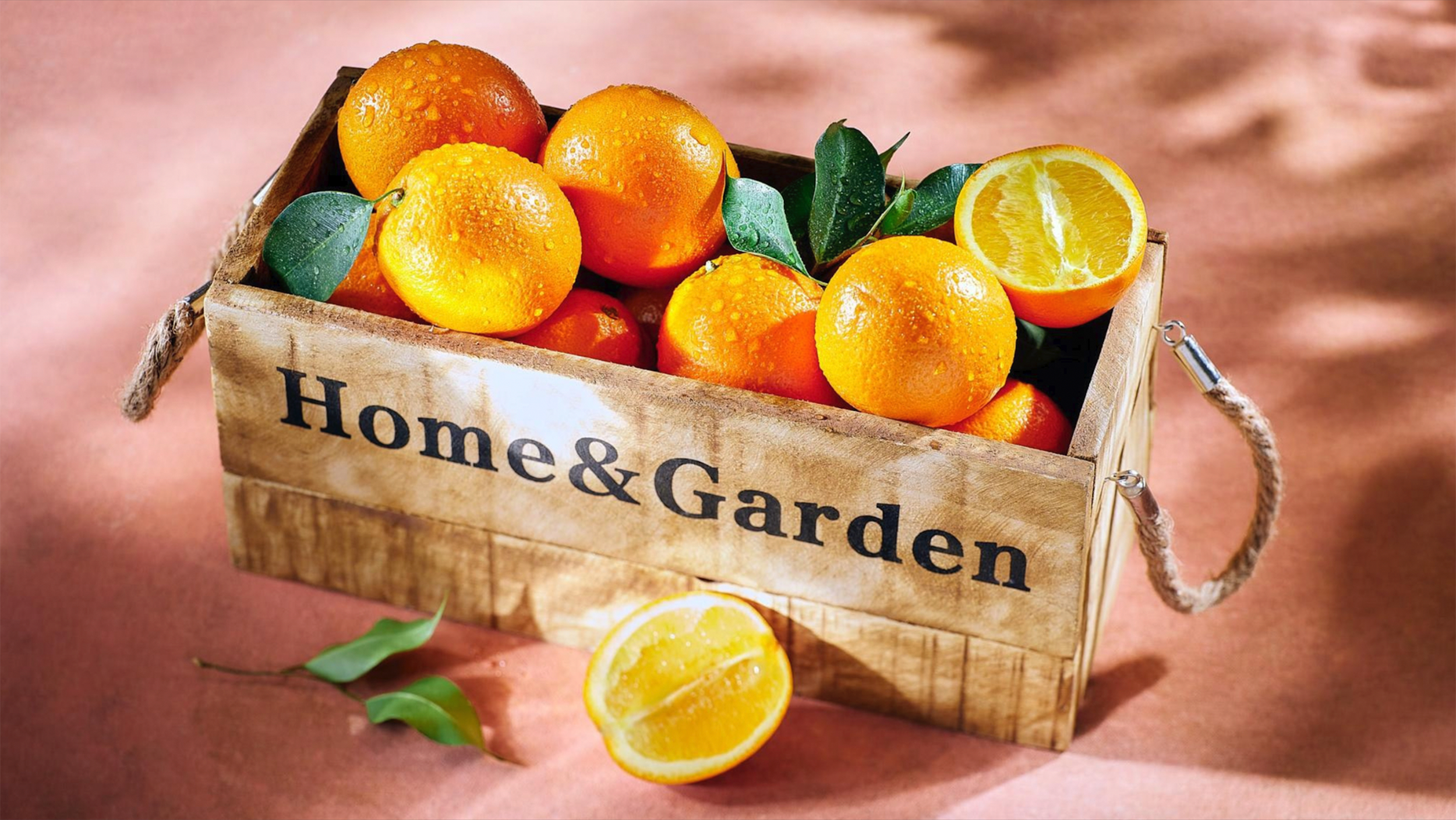 Евгений Петровский — Фуд-съемка и предметная съемка в Москве