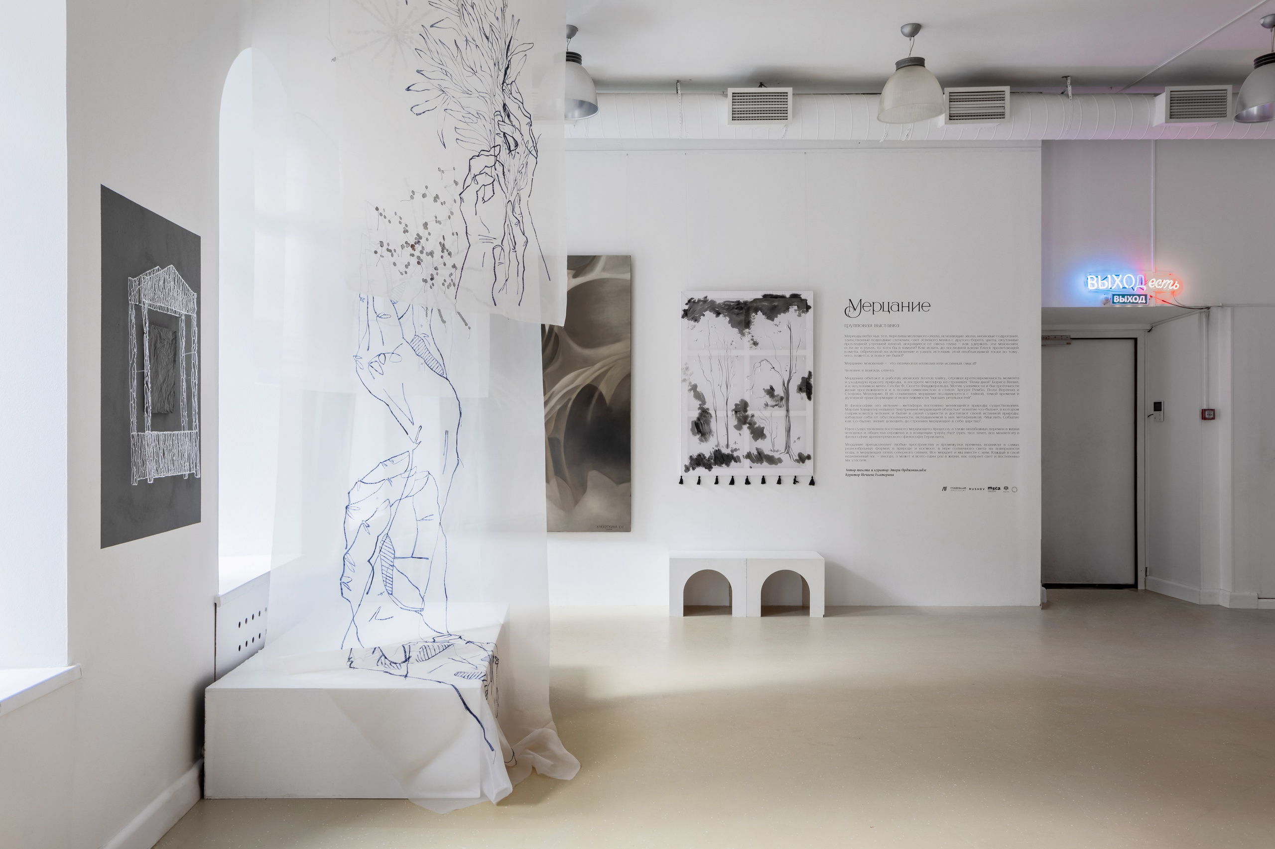 SHINIG. Современный художник в Москве Анастасия Малиновская