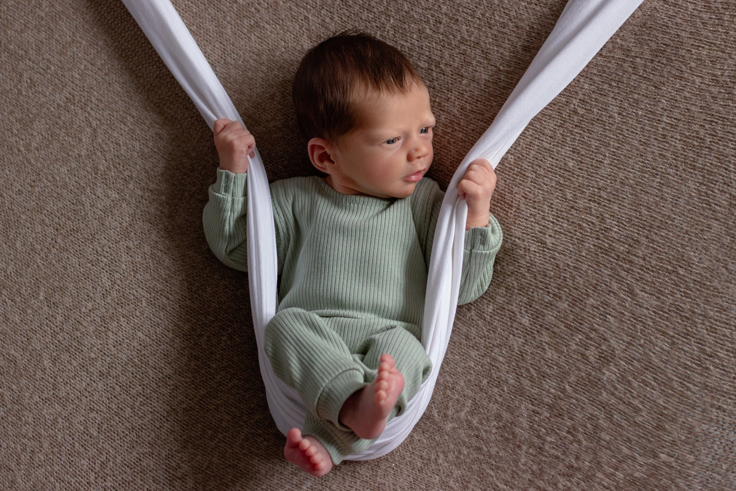 в коричнево-зеленых оттенках.