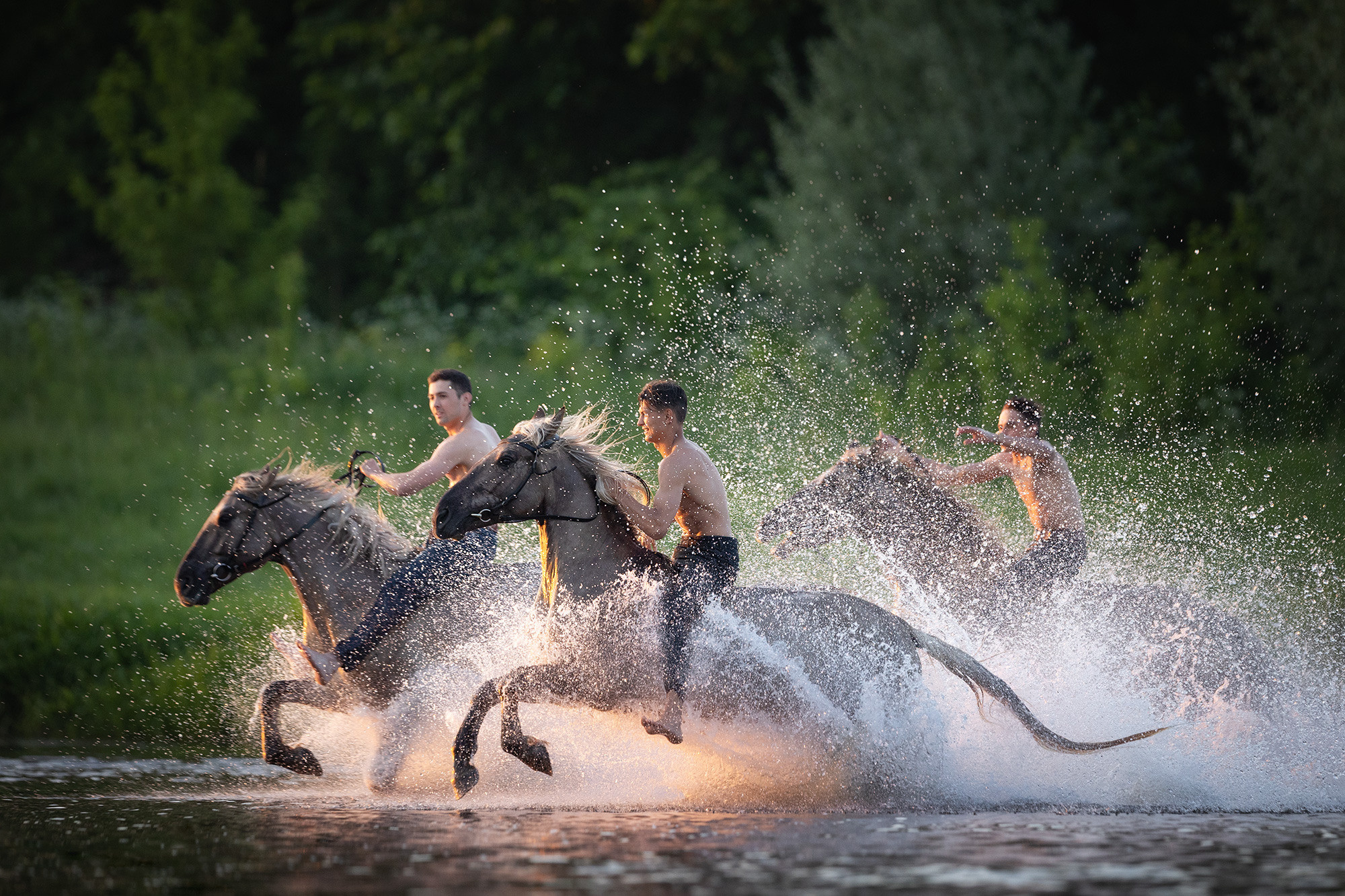 МК по съемке лошадей. Фотограф Анастасия Ветковская, Москва