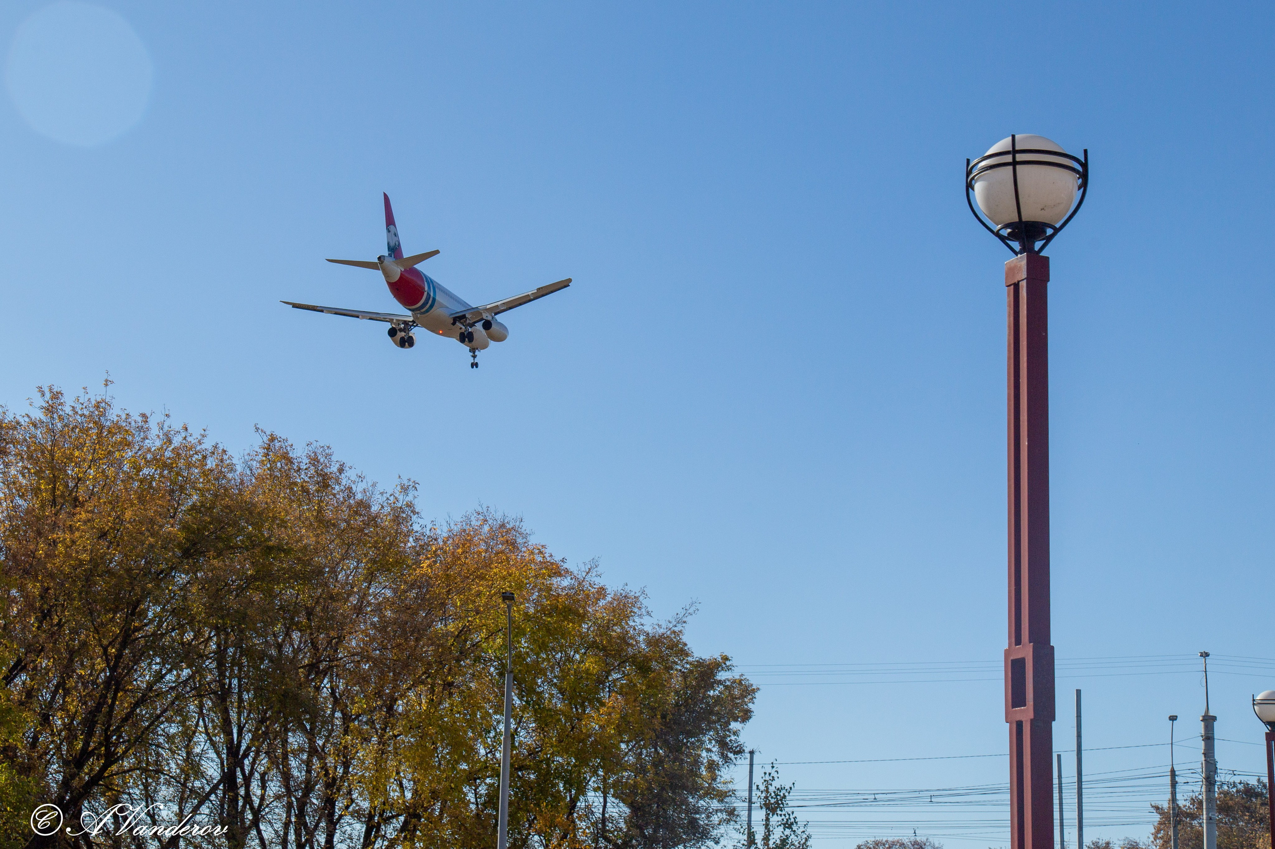 День ходьбы 2024. Фотограф Омск | Александр Вандеров