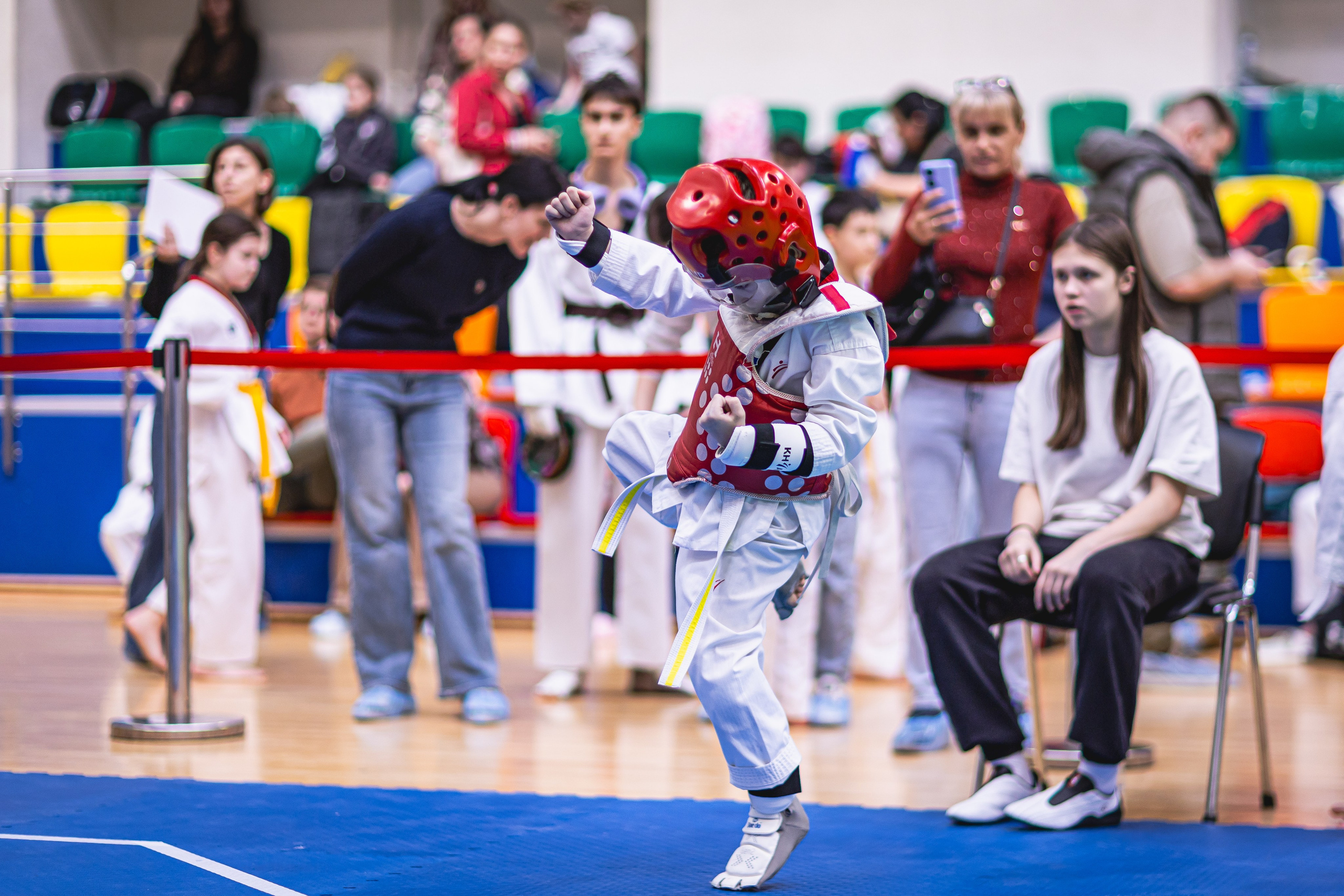 Турнир ВДЮФСОО «ФЕДЕРАЦИЯ ДЕТСКОГО ТХЭКВОНДО РОССИИ» и МОО СПКЕ «ЭРИДАН» по «СПОРТИВНОМУ БОЮ КЕРУГИ». Спортивный фотограф Максим Серегин