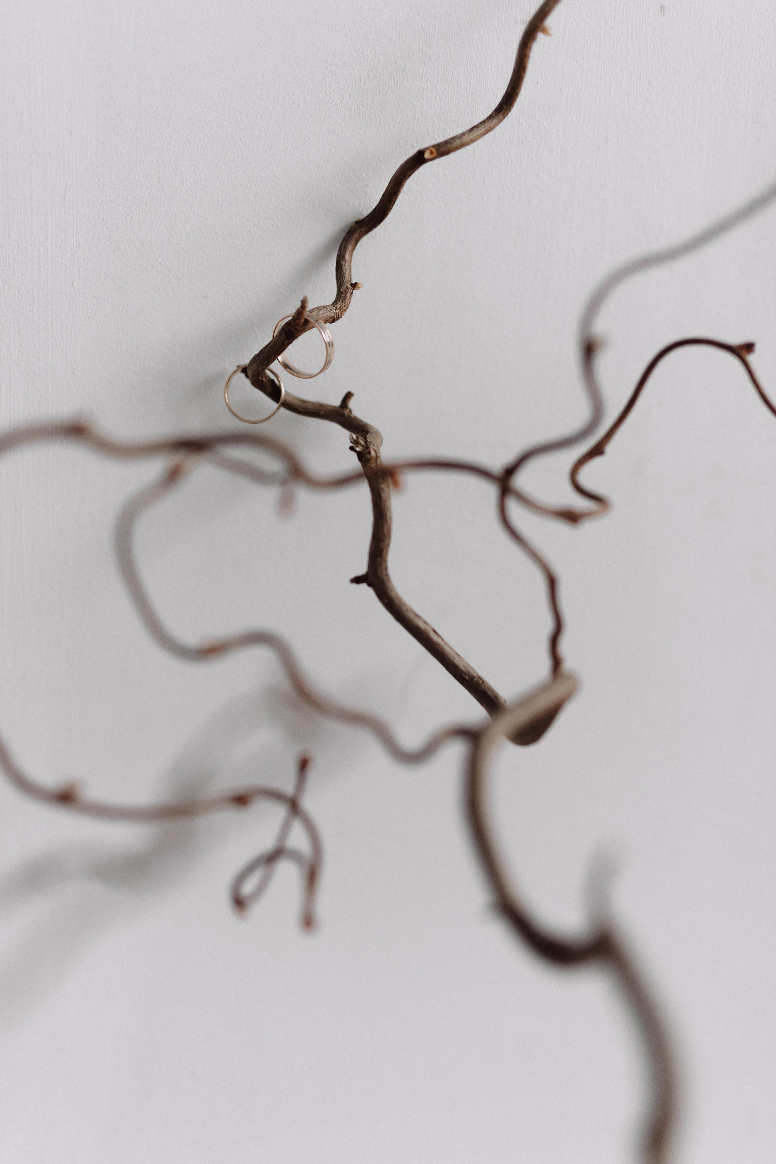 Фотограф Кольчугино/Владимир/Москва Елизавета Иода