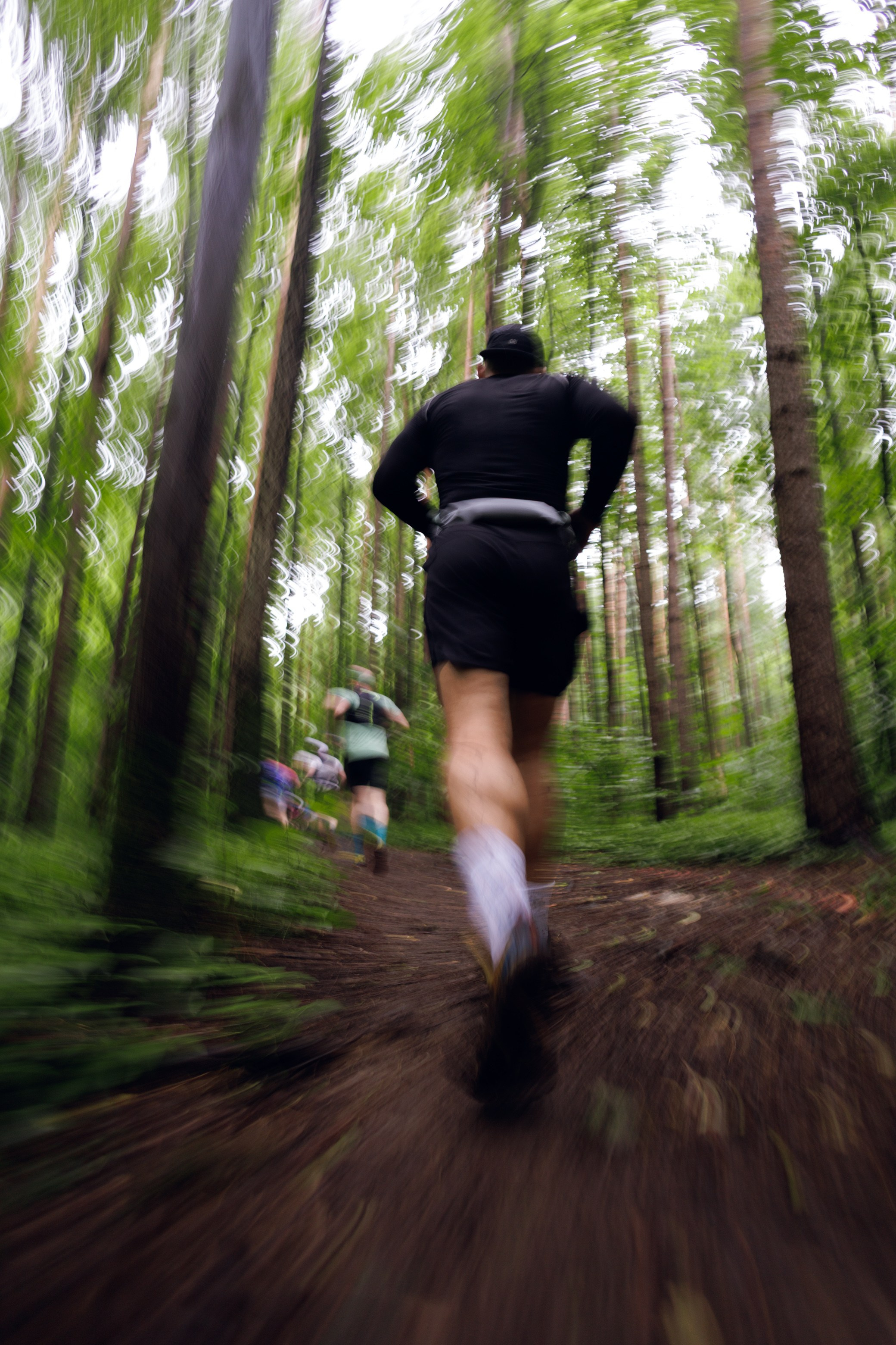CityTrail Битца от Wild Trail