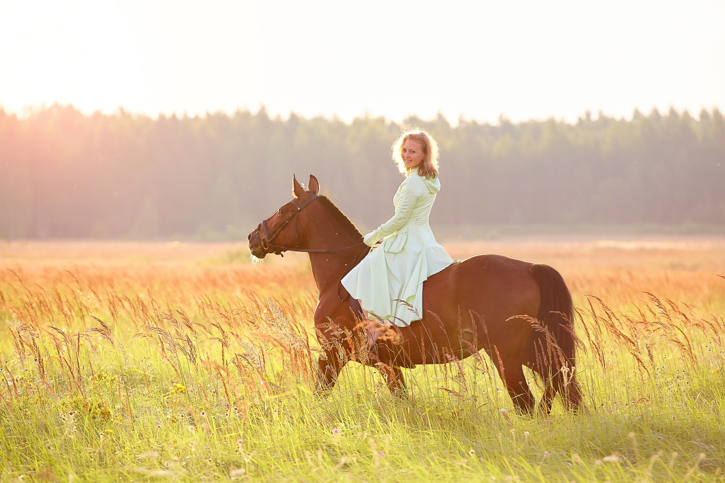 Фотосессия с лошадьми Фотограф Михаил Семенов, г. Ярославль