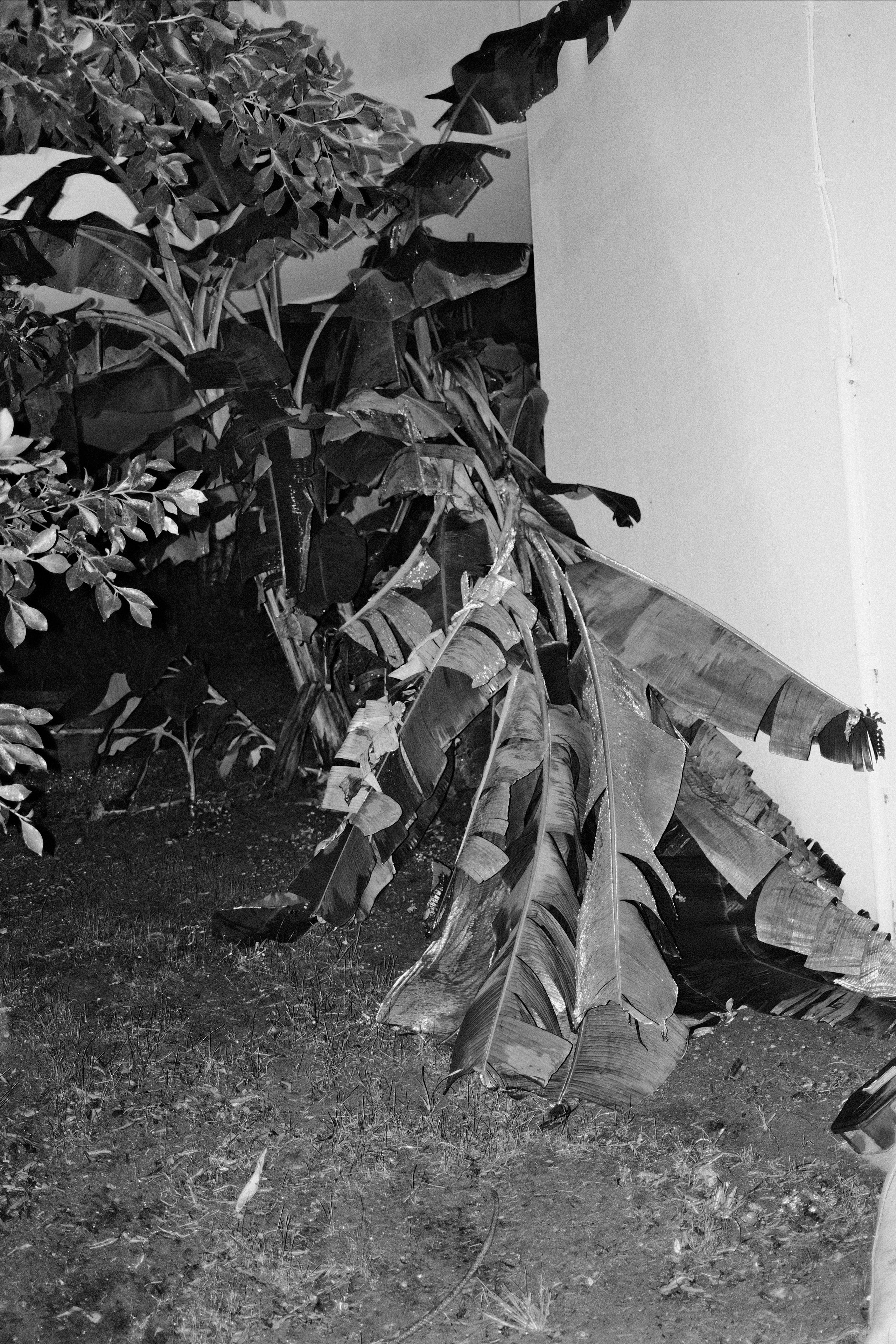 Отель. Портретный фотограф