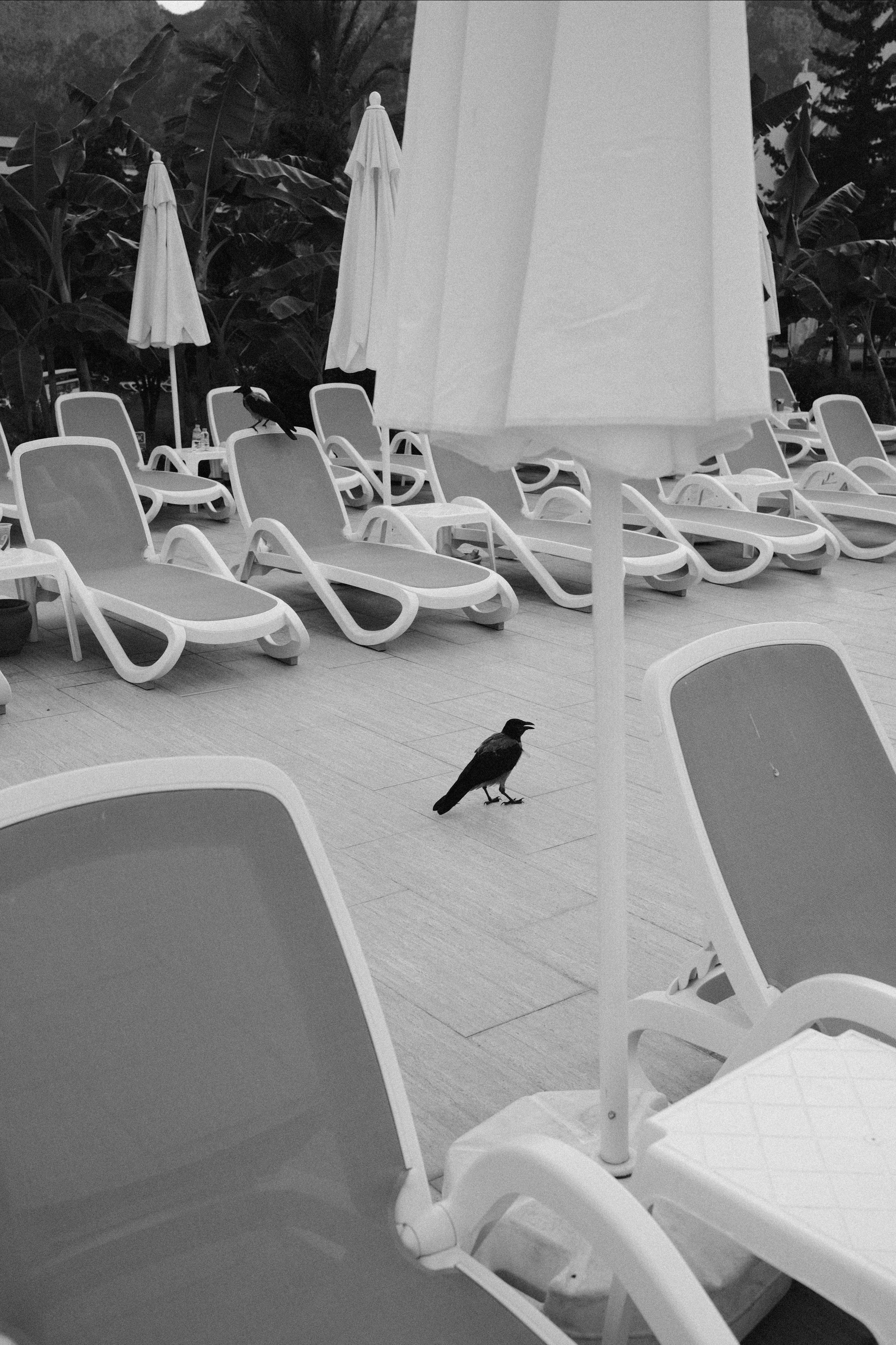 Отель. Портретный фотограф