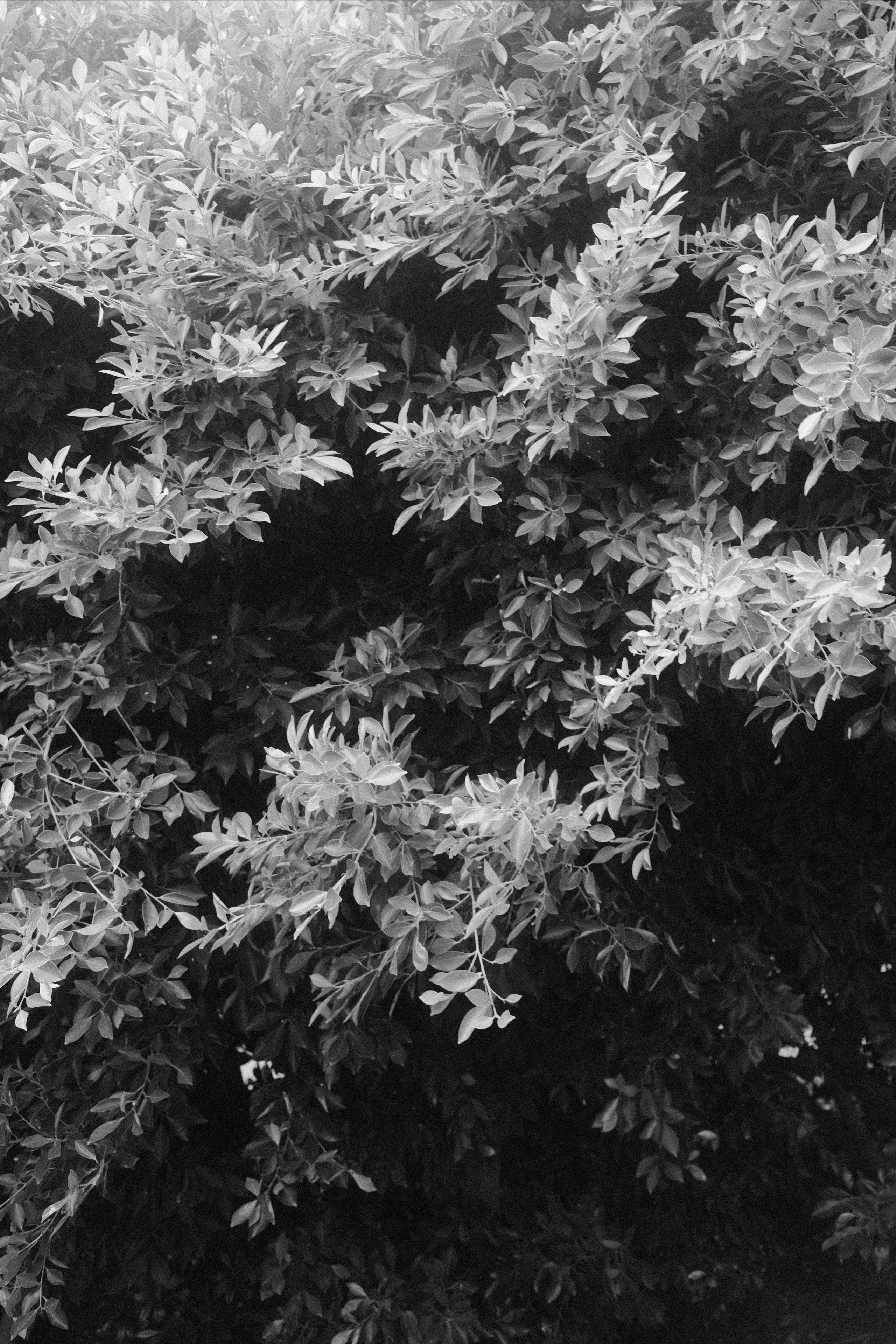 Отель. Портретный фотограф