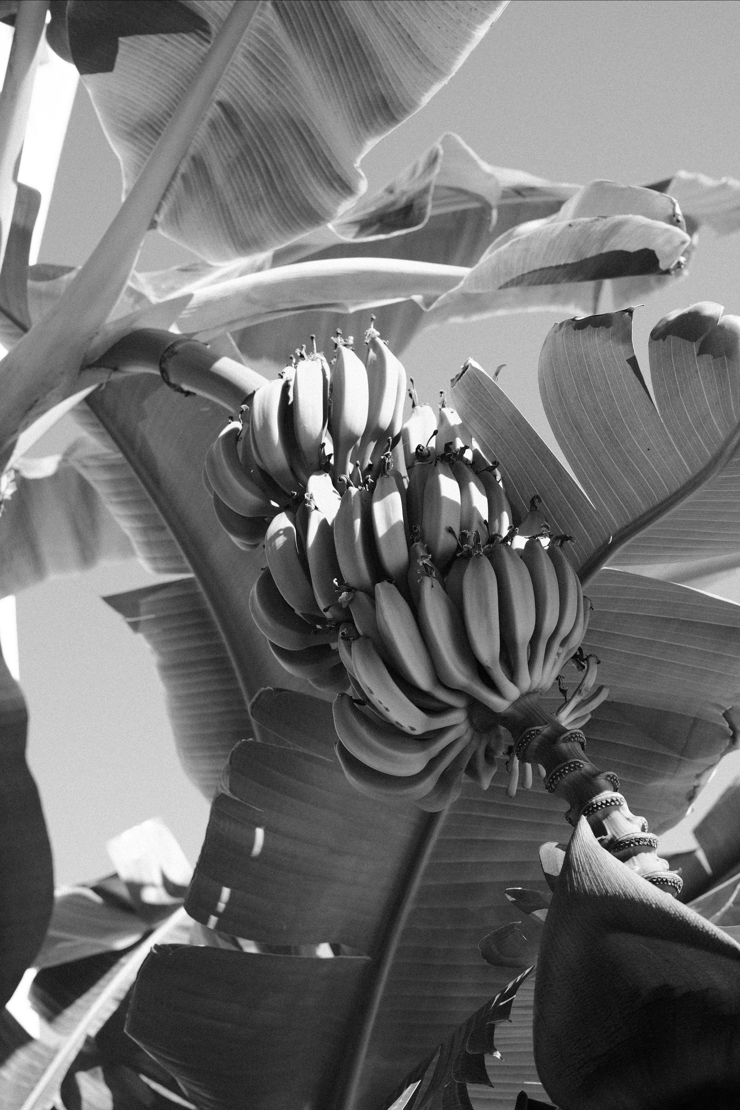 Отель. Портретный фотограф