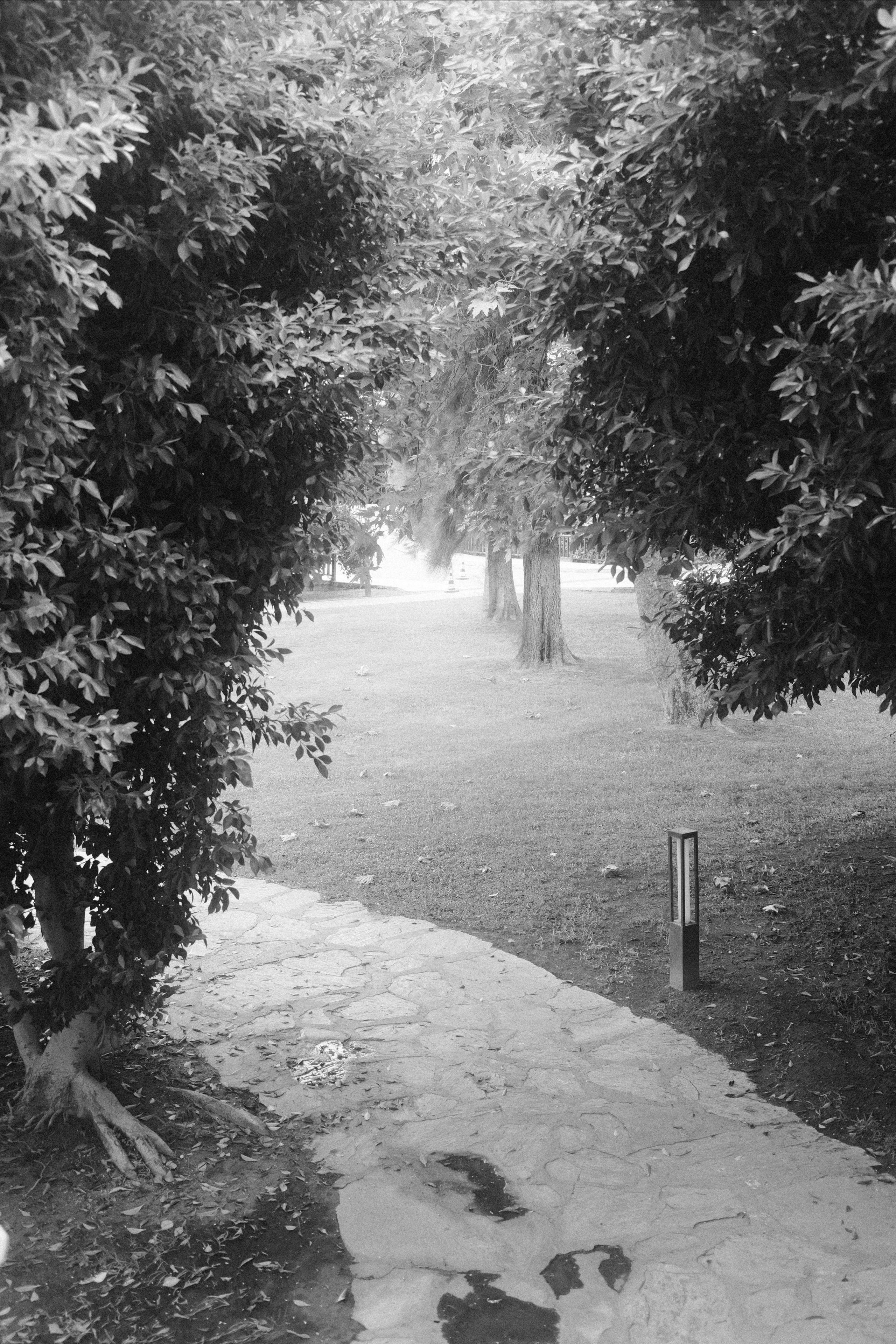 Отель. Портретный фотограф