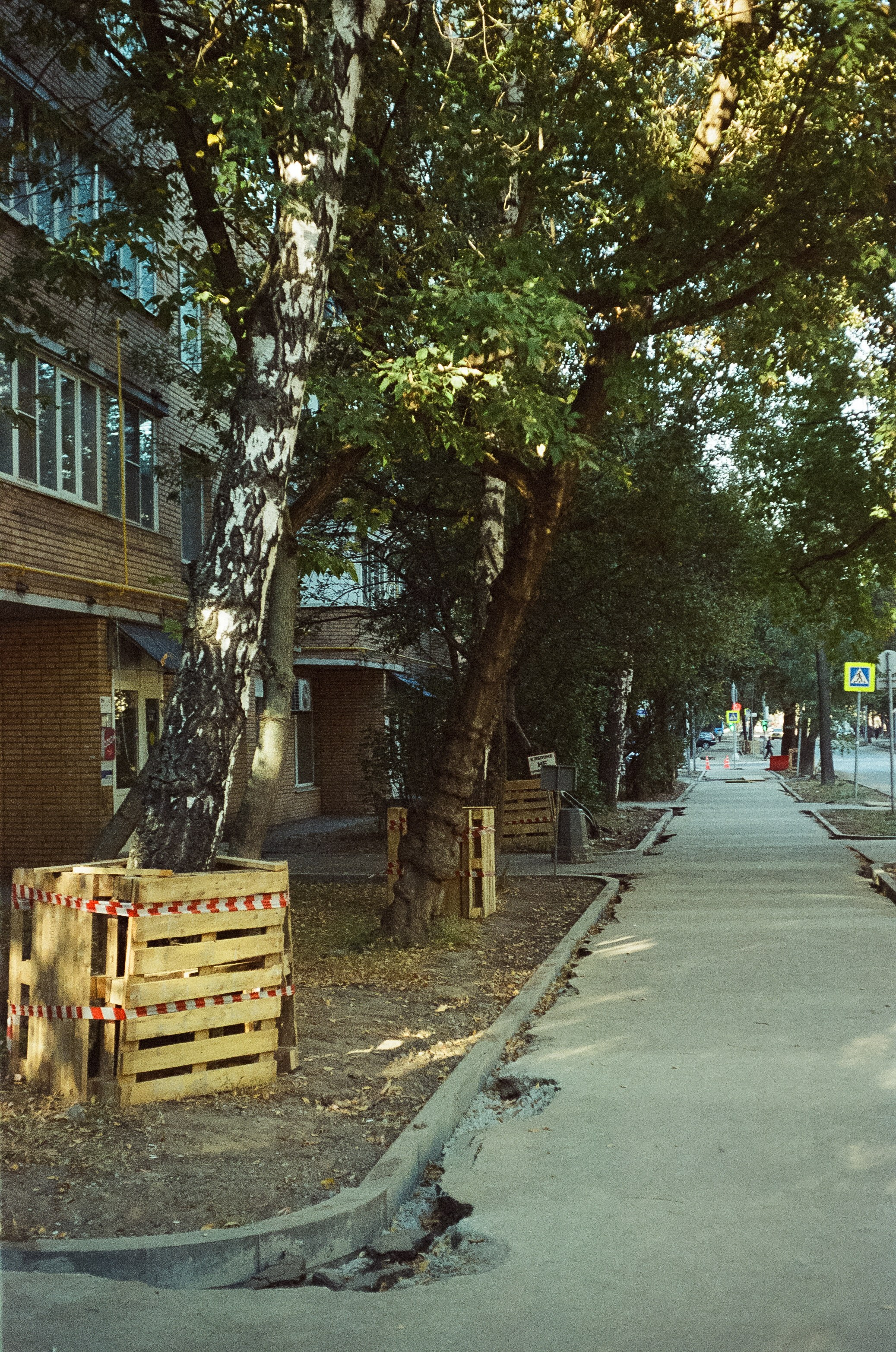 Voigtlander Vitessa / Color-Skopar 50 mm f/3.5 / Kodak Gold 100 (просрочка)