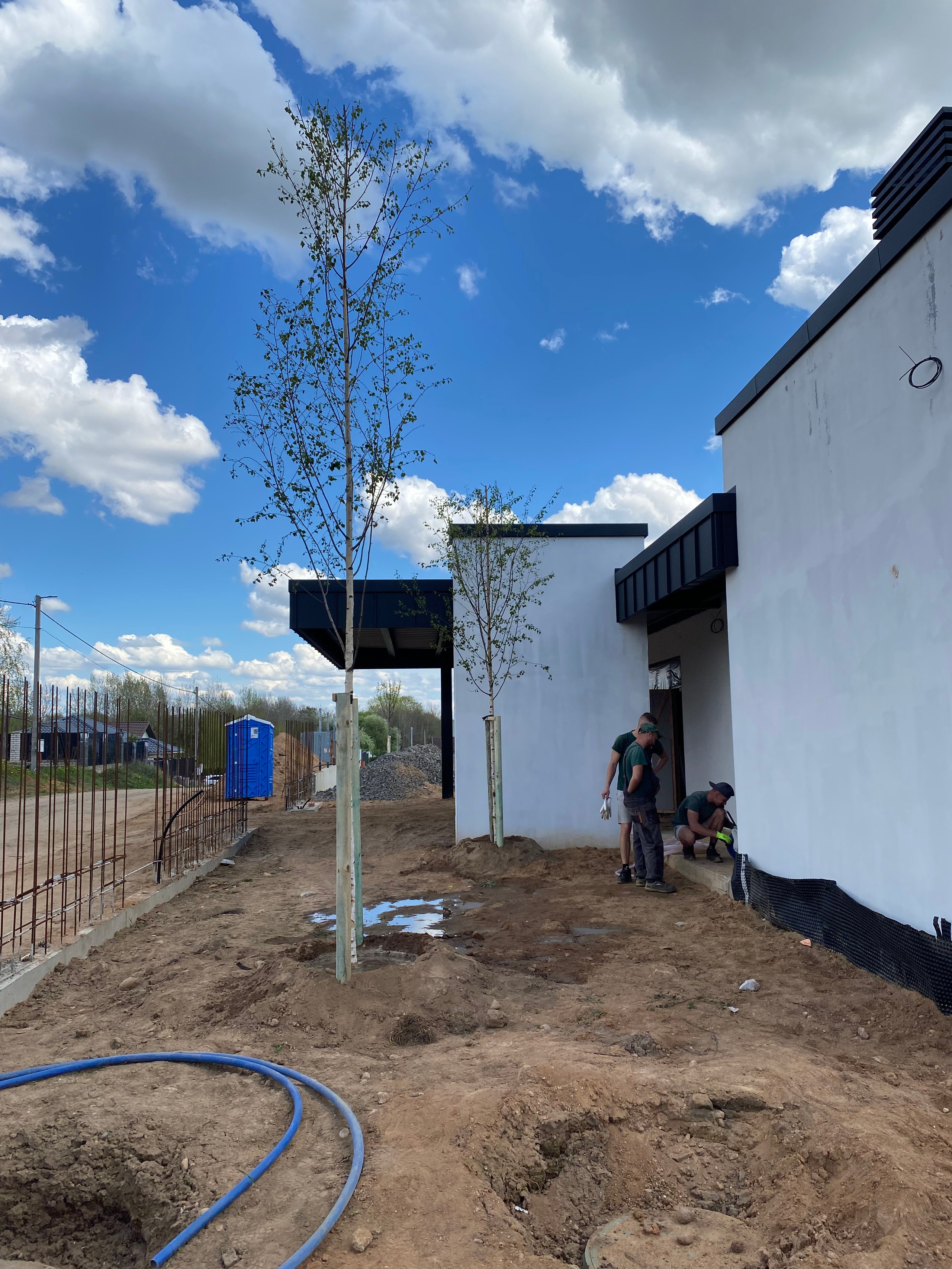 Посадки крупномеров. LA. Ландшафтный дизайн в Минске и Гродно