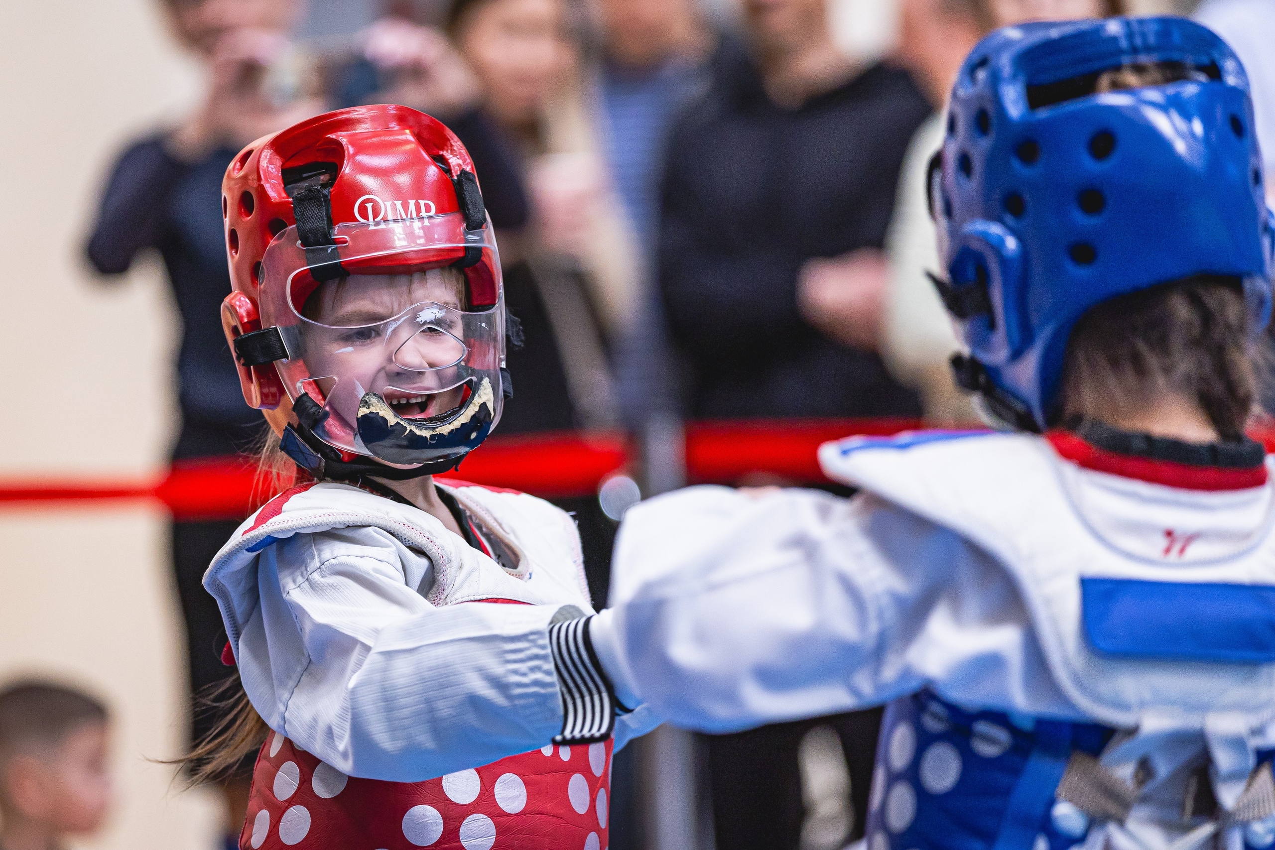 Турнир ВДЮФСОО «ФЕДЕРАЦИЯ ДЕТСКОГО ТХЭКВОНДО РОССИИ» и МОО СПКЕ «ЭРИДАН» по «СПОРТИВНОМУ БОЮ КЕРУГИ». Спортивный фотограф Максим Серегин