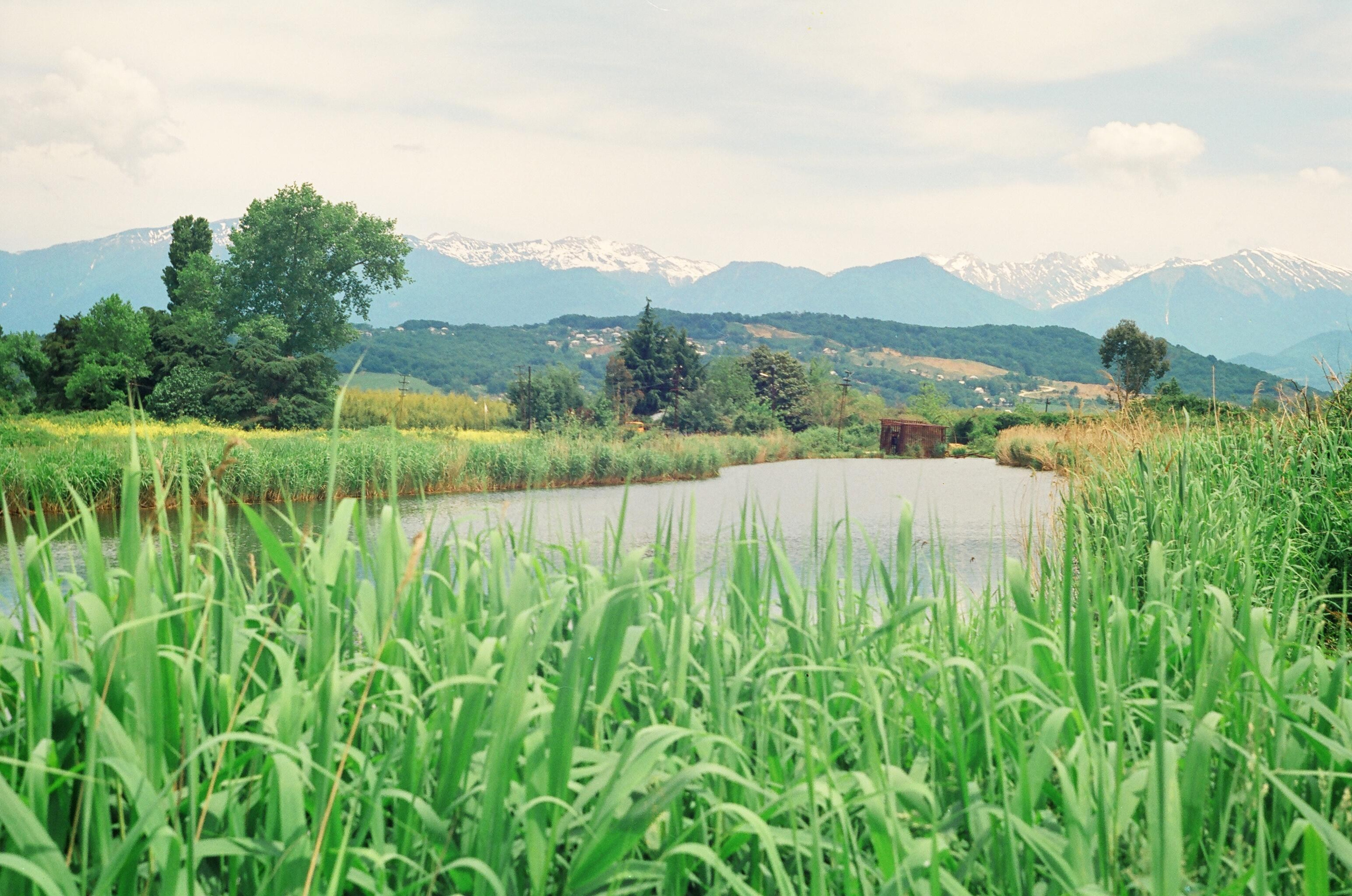 Semyon Simonov's Archive