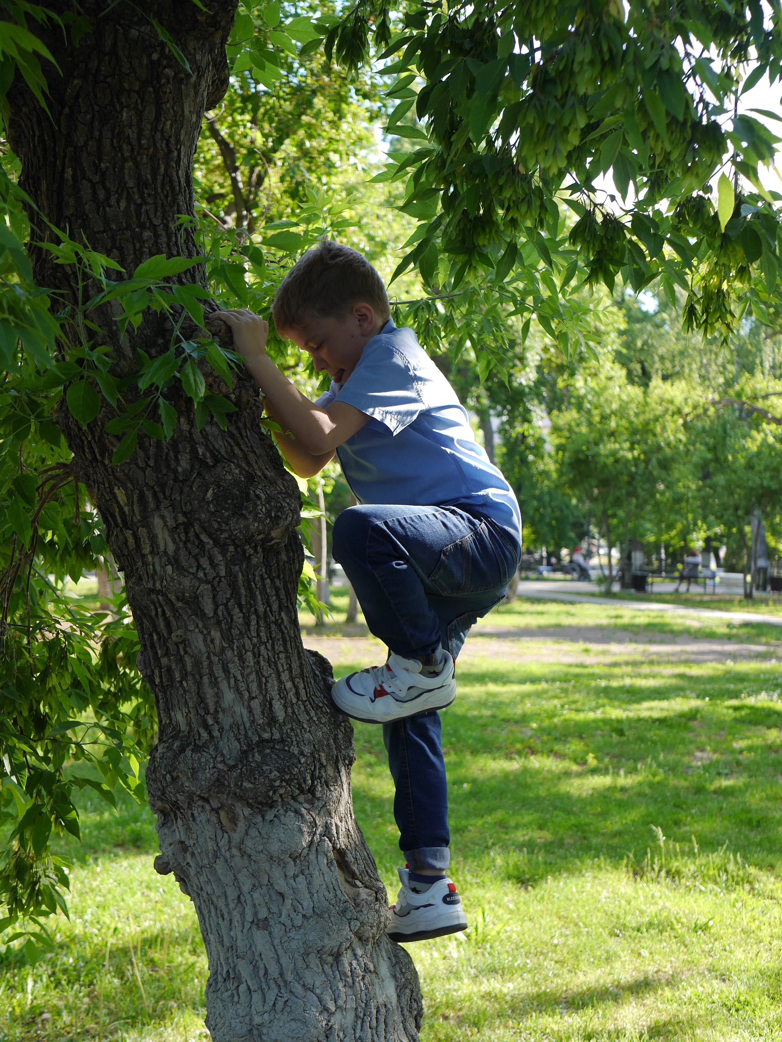 Катюша и её большая семья