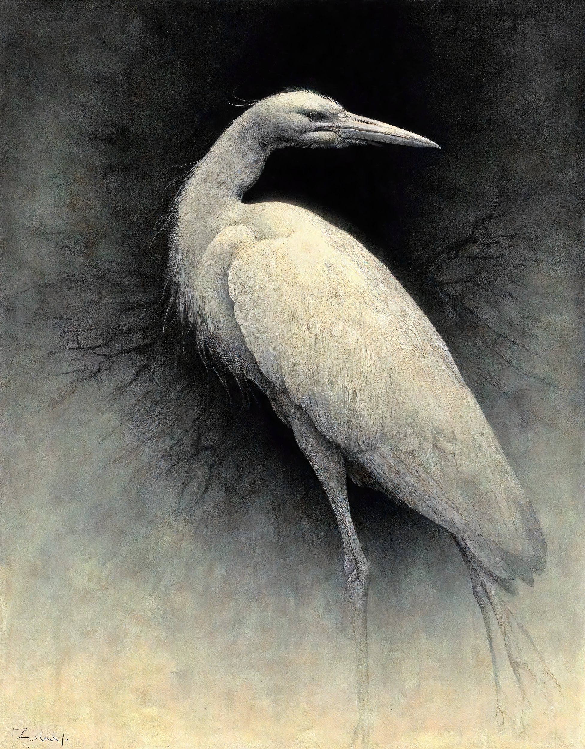 Постеры. Портретный фотограф