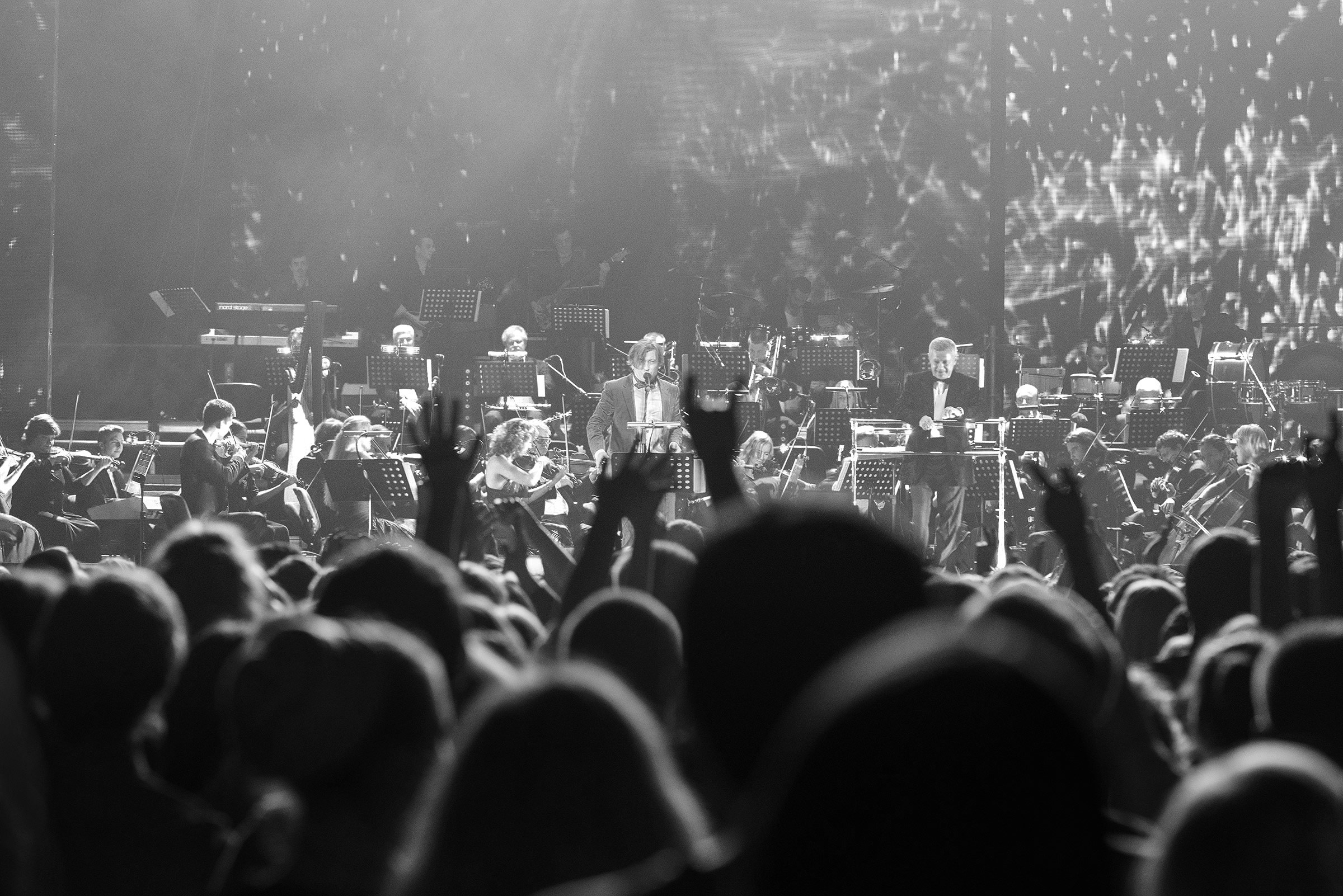Концерт БИ-2 с оркестром. Свадебный фотограф в Санкт-Петербурге Петергофе Пушкине Саша Галлс / Александр Галлс