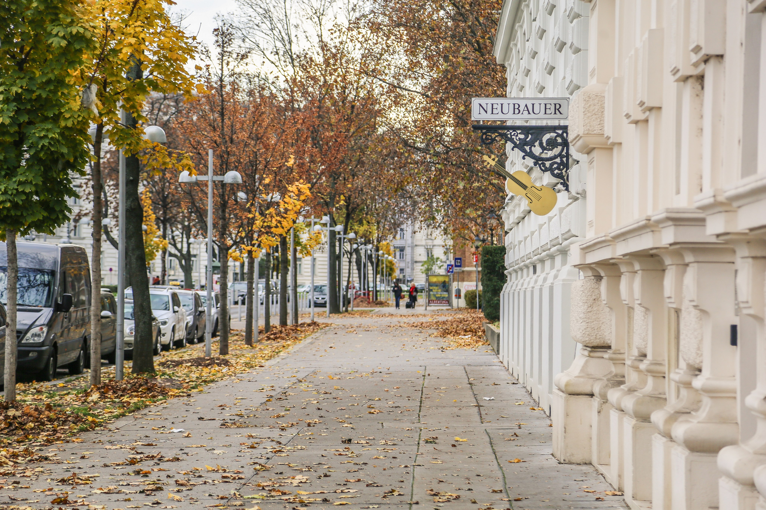 Австрия: Вена — знакомство. Дарья Письменюк / Darya Leitstern — фотограф, музыкант, журналист, путешественник