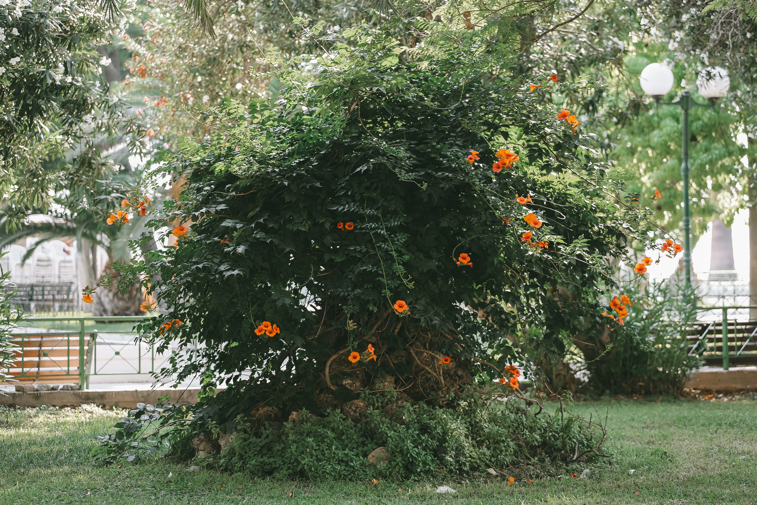 Греция: термальный курорт Лутраки. Дарья Письменюк / Darya Leitstern — фотограф, музыкант, журналист, путешественник