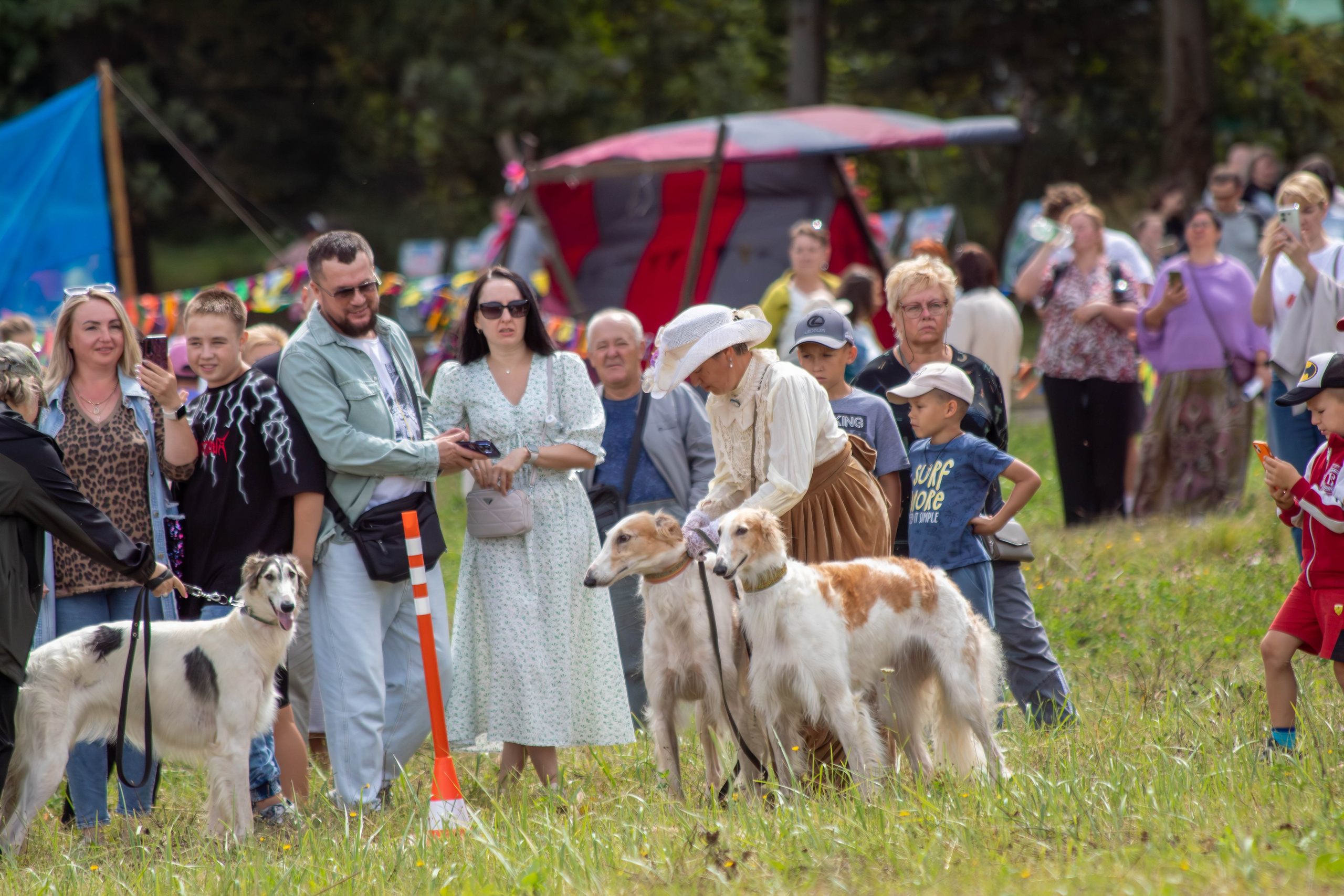 Охота как искусство Ясная поляна. Фотограф анималист — Тула, Москва