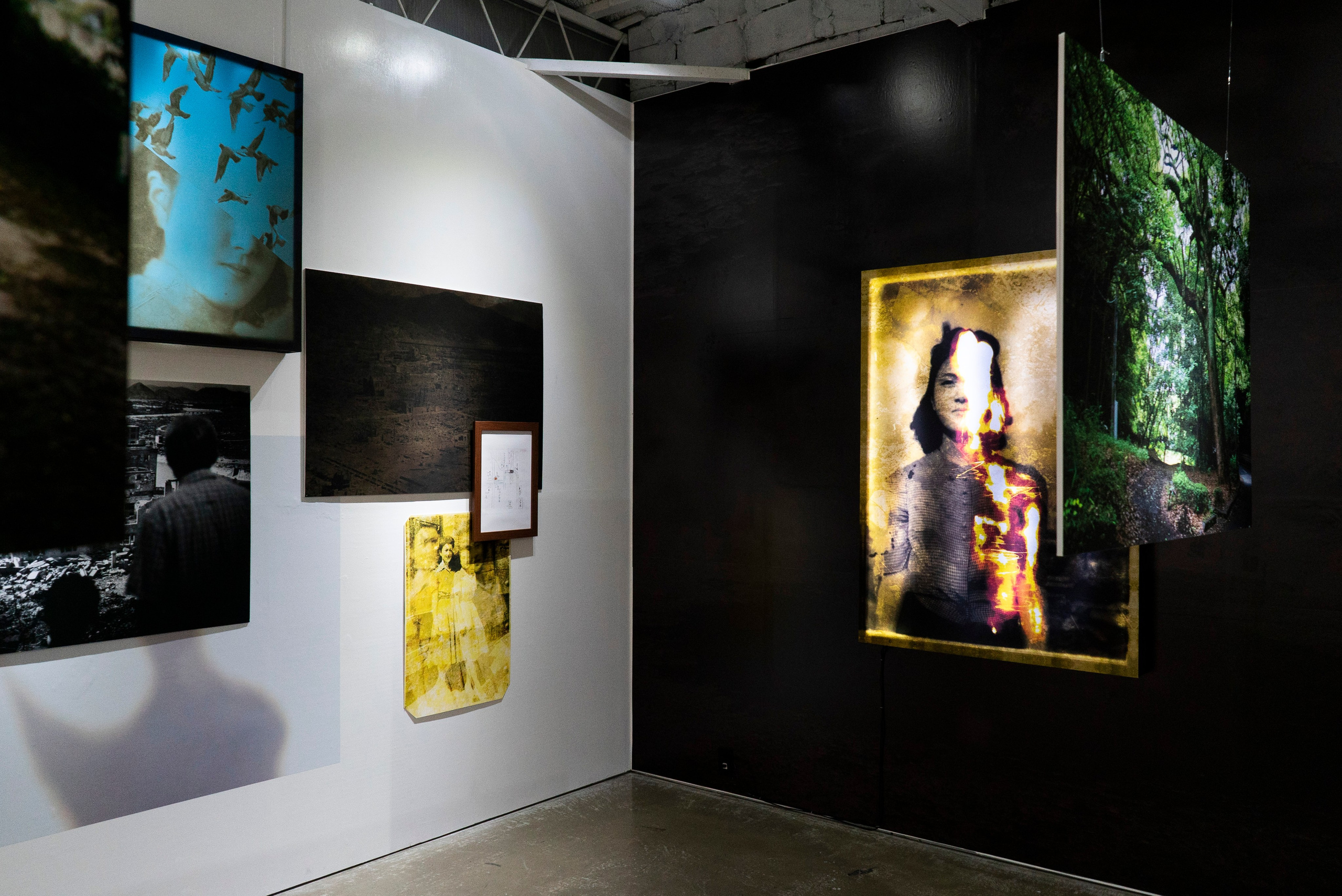 INTERVIEW WITH THE ARTIST: YOSHIKATSU FUJII. Самоорганизация Низина