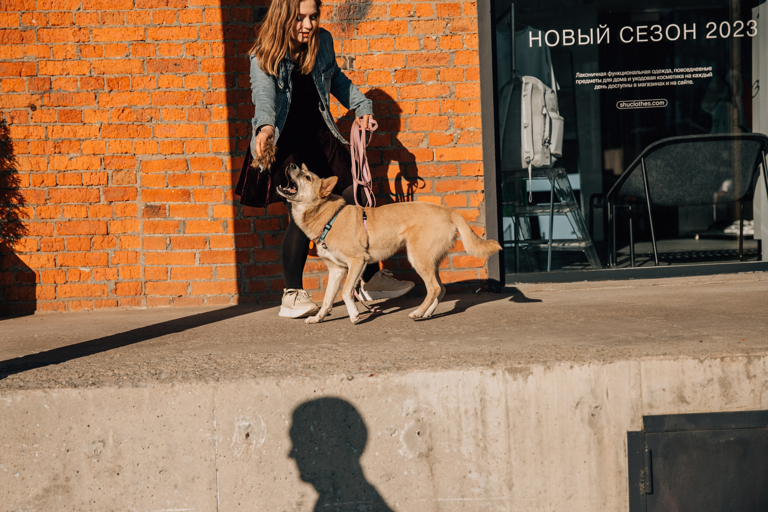 Фотограф-анималист в Москве Соломонова Варвара