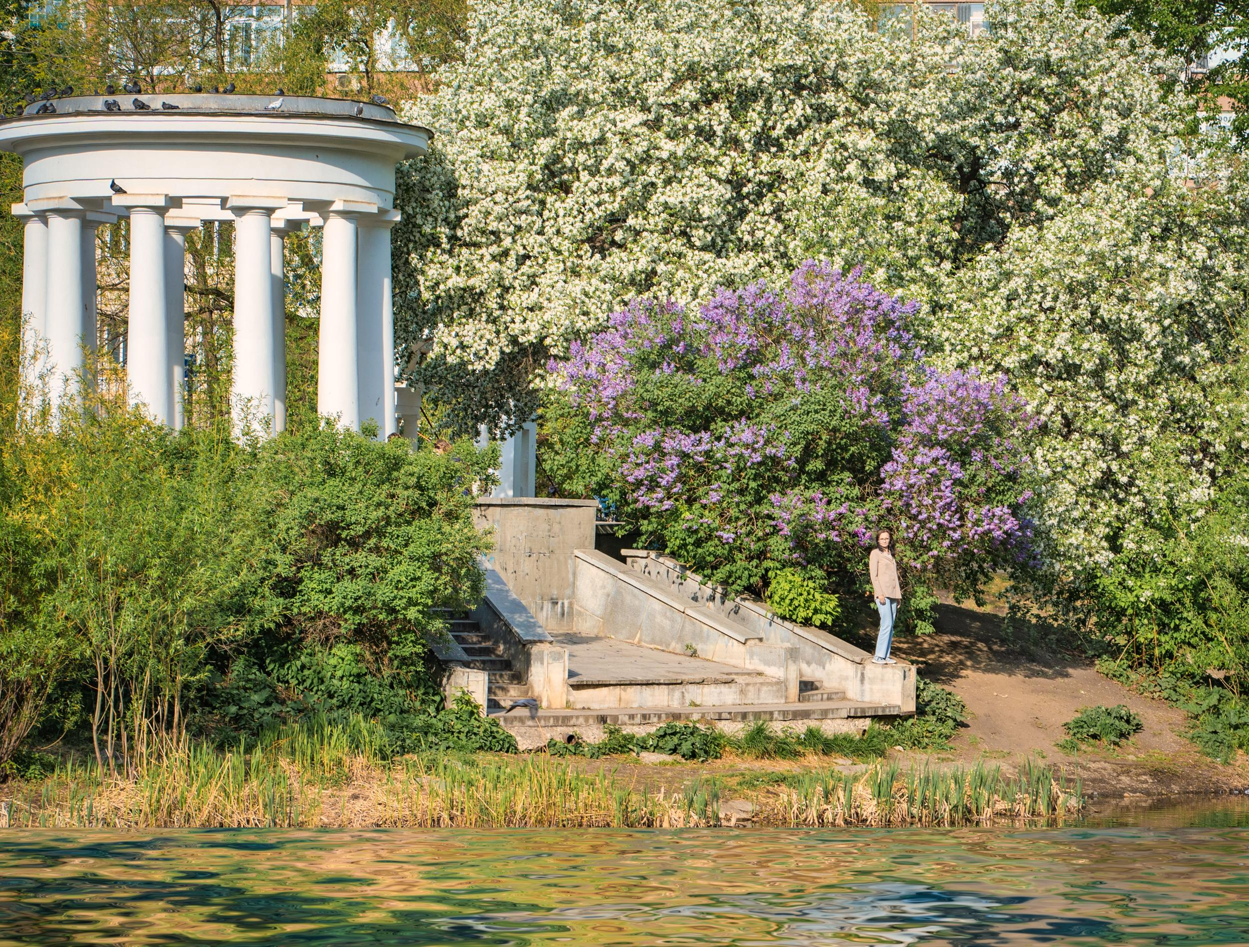 Цветение в Харитоновском парке