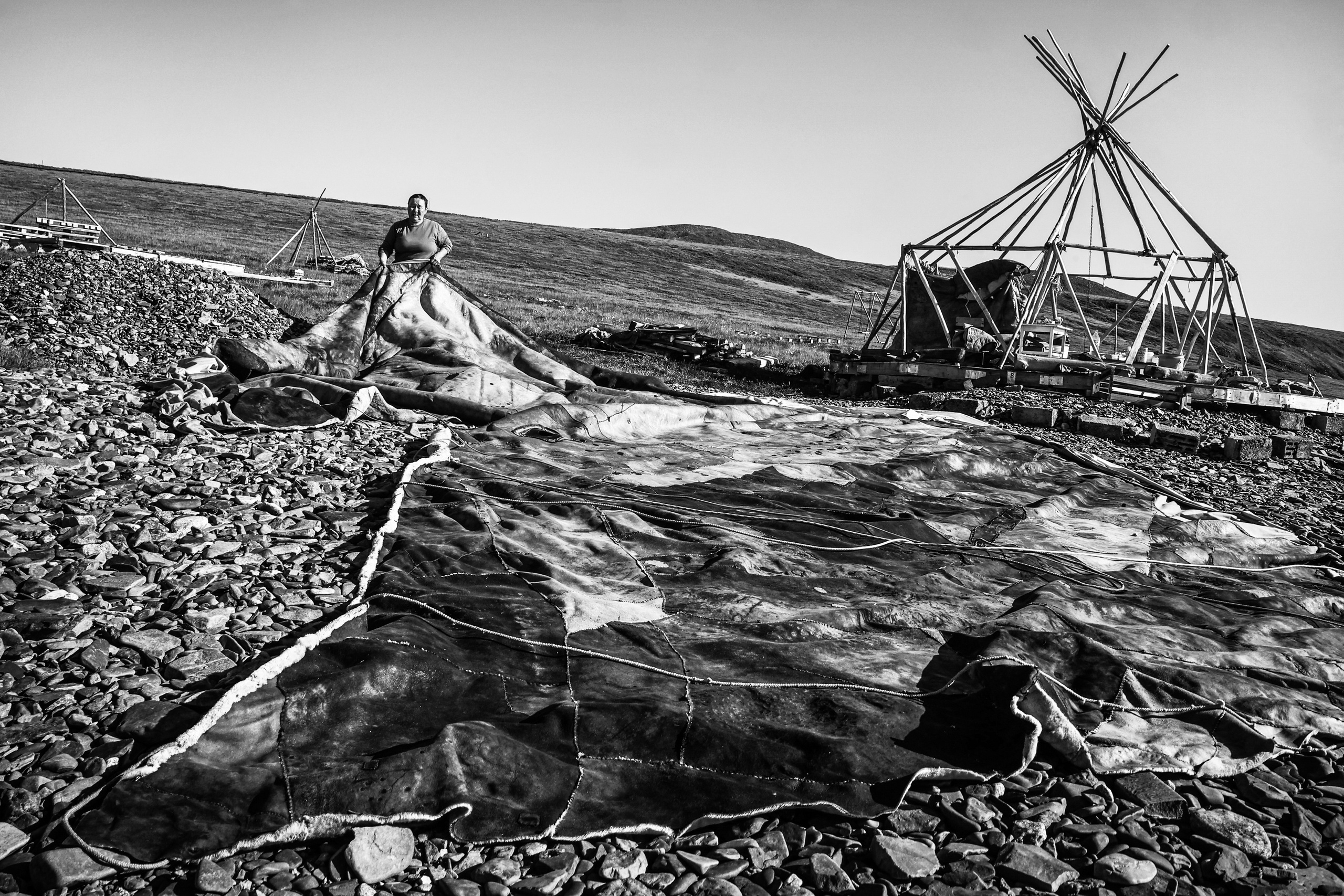 НА 69-й ПАРАЛЛЕЛИ. Ekaterina Ageeva