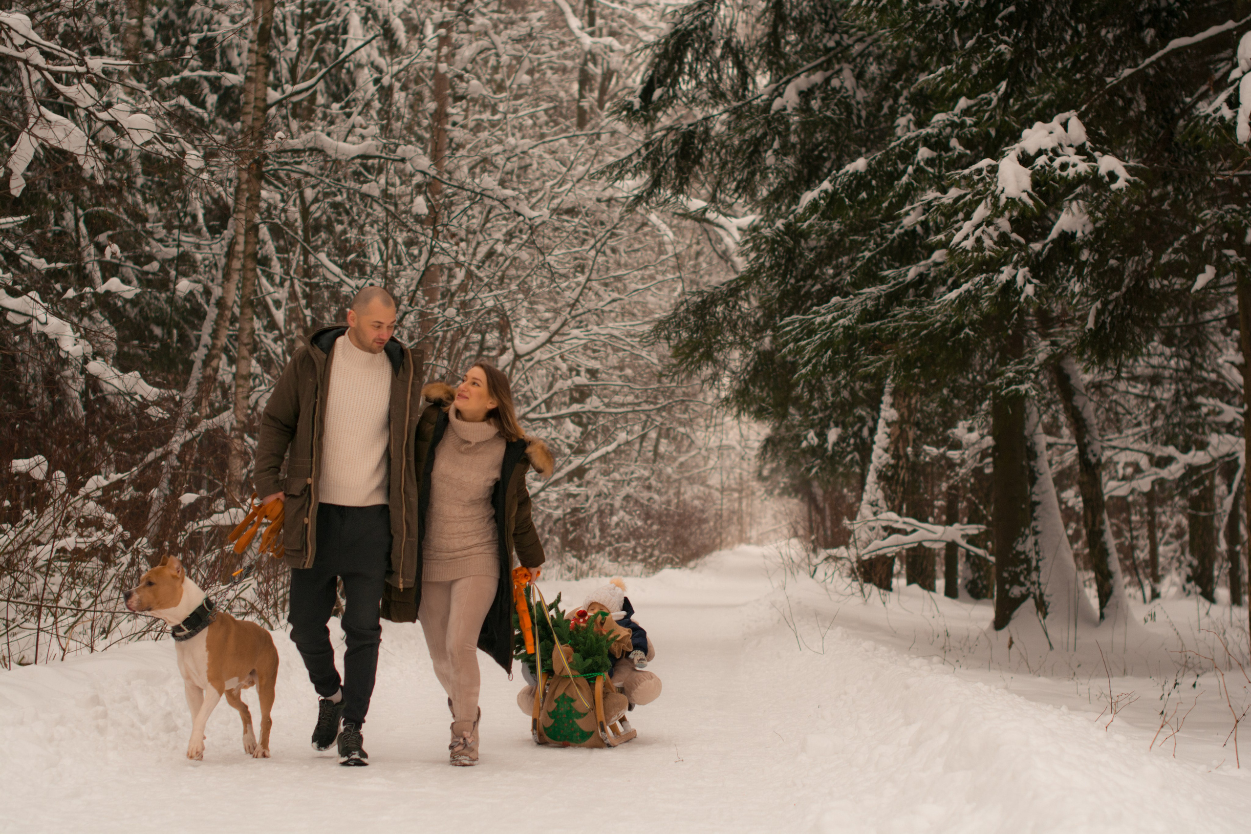 Прогулка в зимнем лесу. Парк Измайлово. Фотосессия беременности — Крылова Натали — Москва